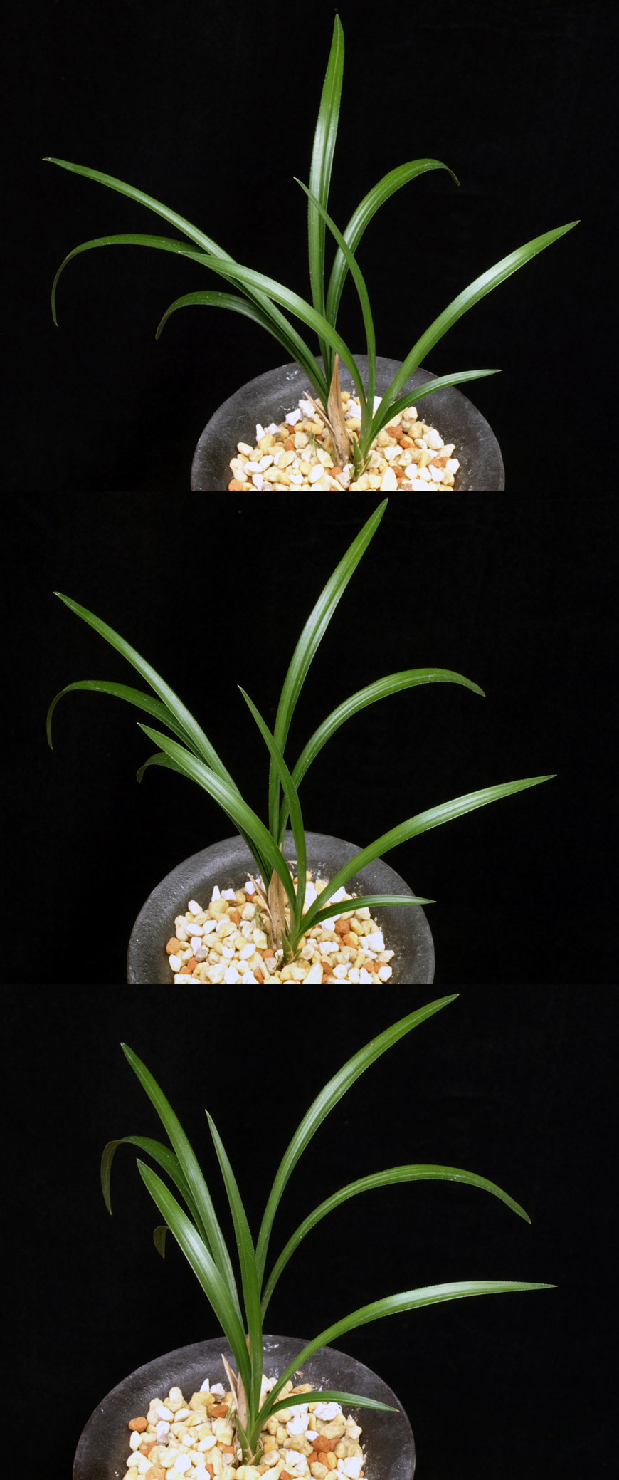 ������ ū������ �� �� �ֽ��ϴ�.