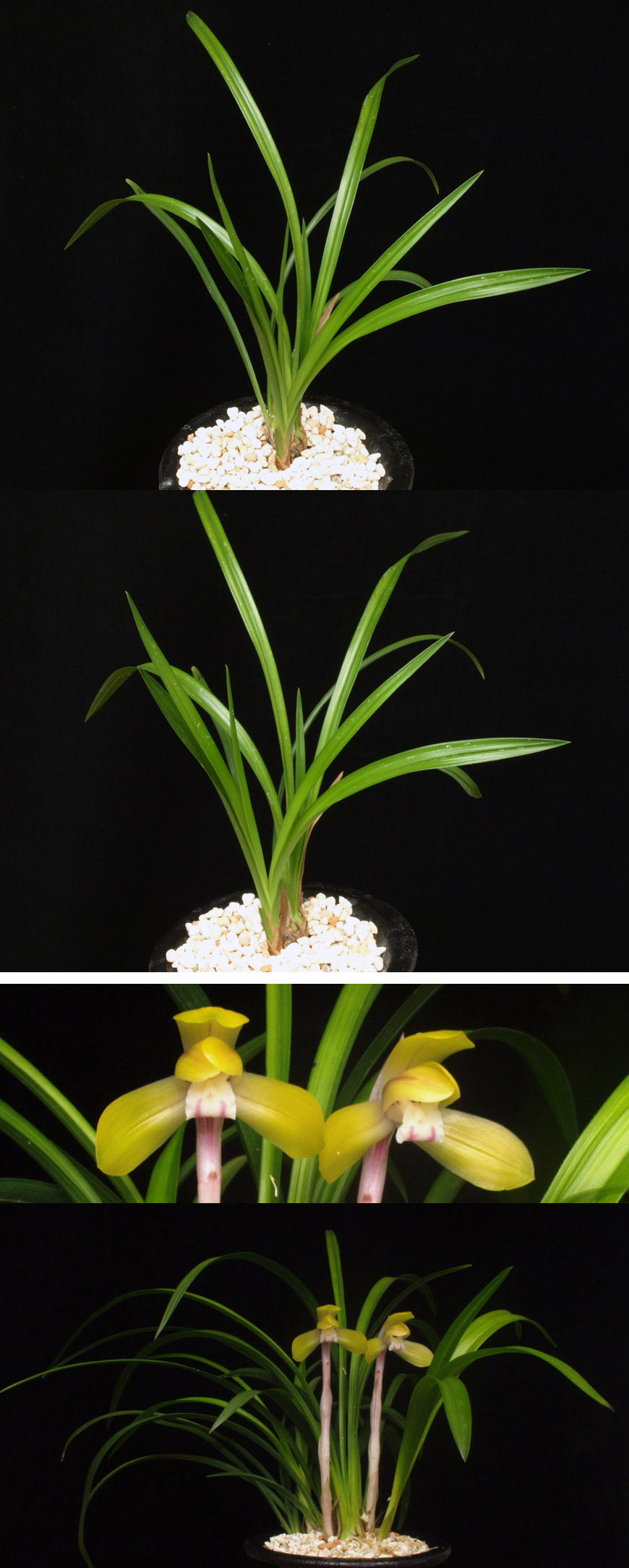 ������ ū������ �� �� �ֽ��ϴ�.