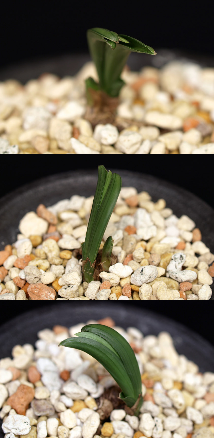 ������ ū������ �� �� �ֽ��ϴ�.