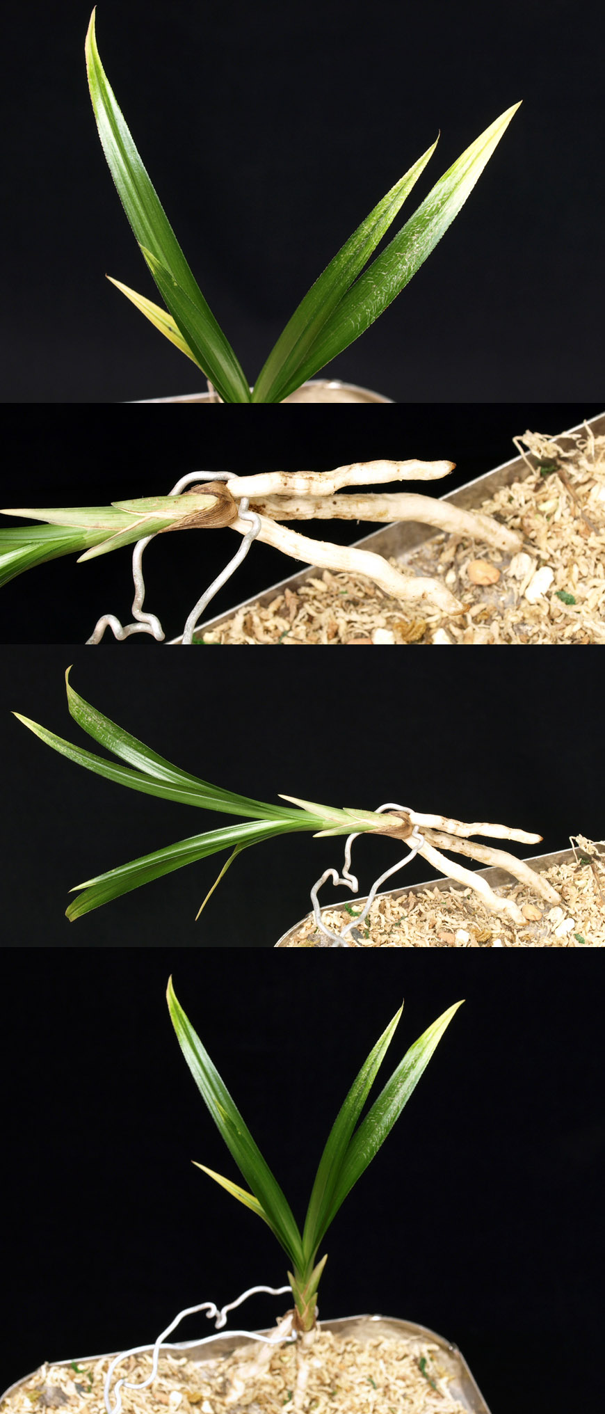 ������ ū������ �� �� �ֽ��ϴ�.