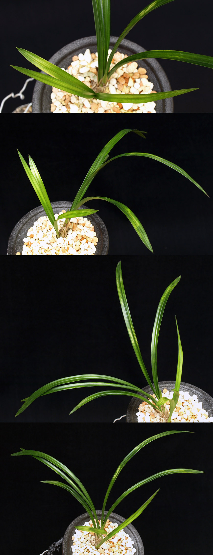 ������ ū������ �� �� �ֽ��ϴ�.