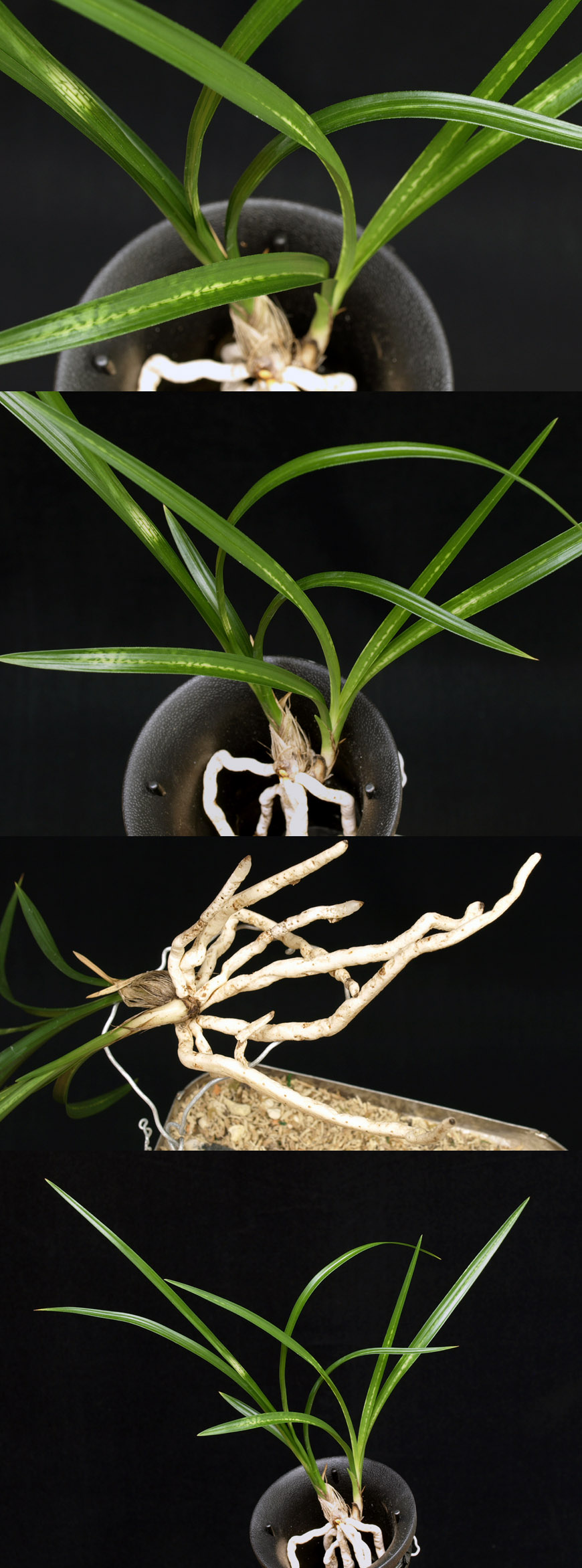 ������ ū������ �� �� �ֽ��ϴ�.