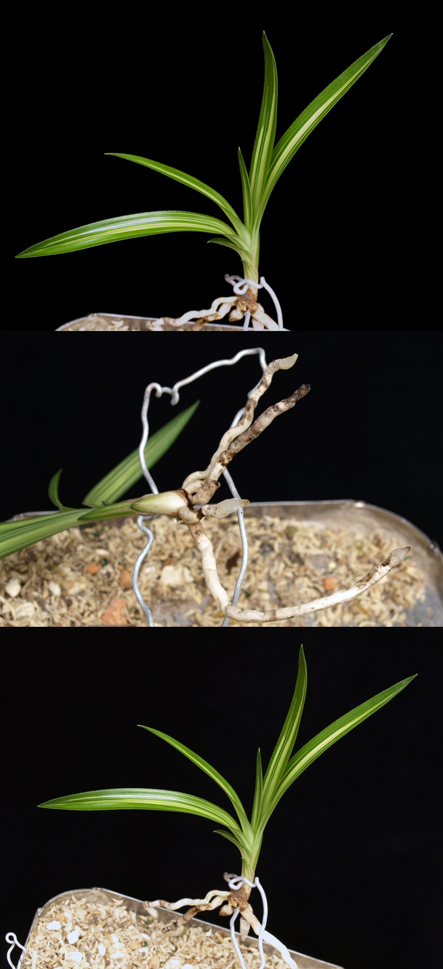 ������ ū������ �� �� �ֽ��ϴ�.