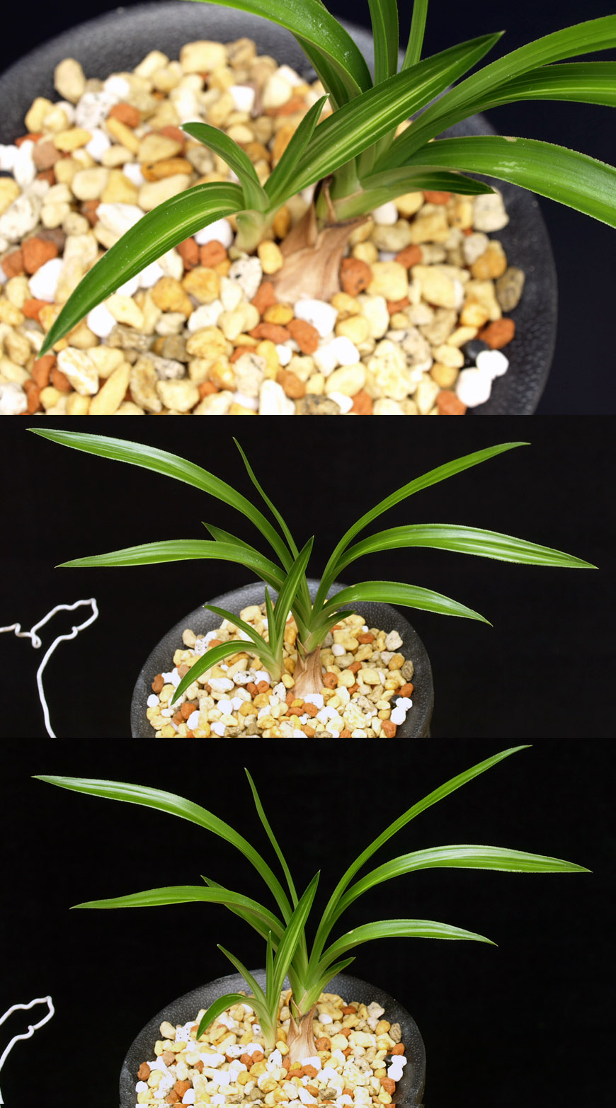 ������ ū������ �� �� �ֽ��ϴ�.