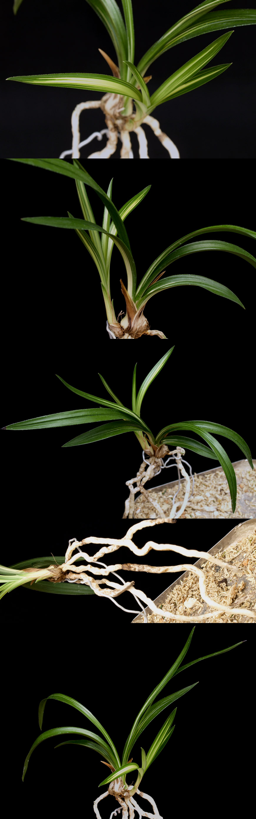 ������ ū������ �� �� �ֽ��ϴ�.