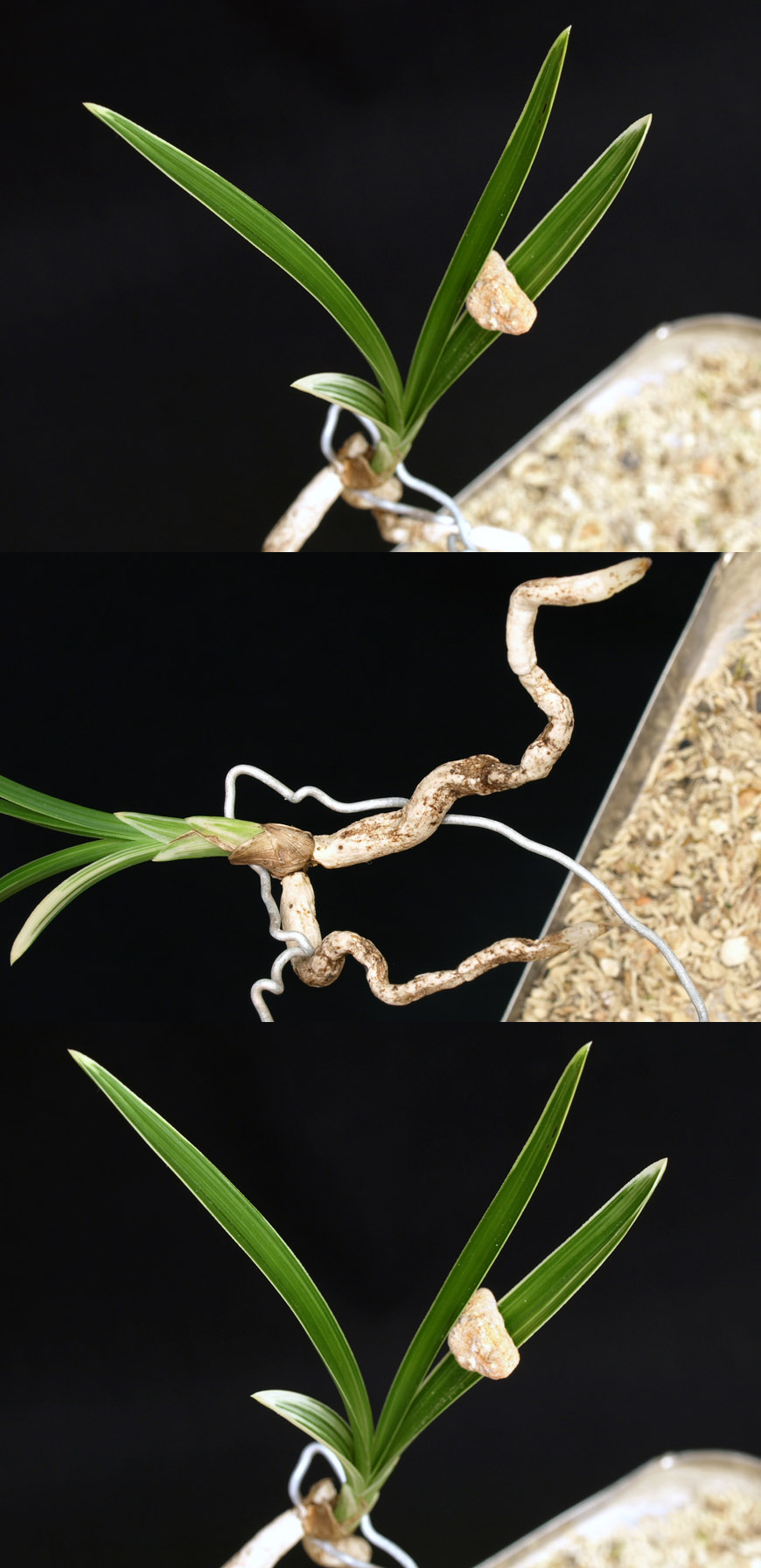 ������ ū������ �� �� �ֽ��ϴ�.