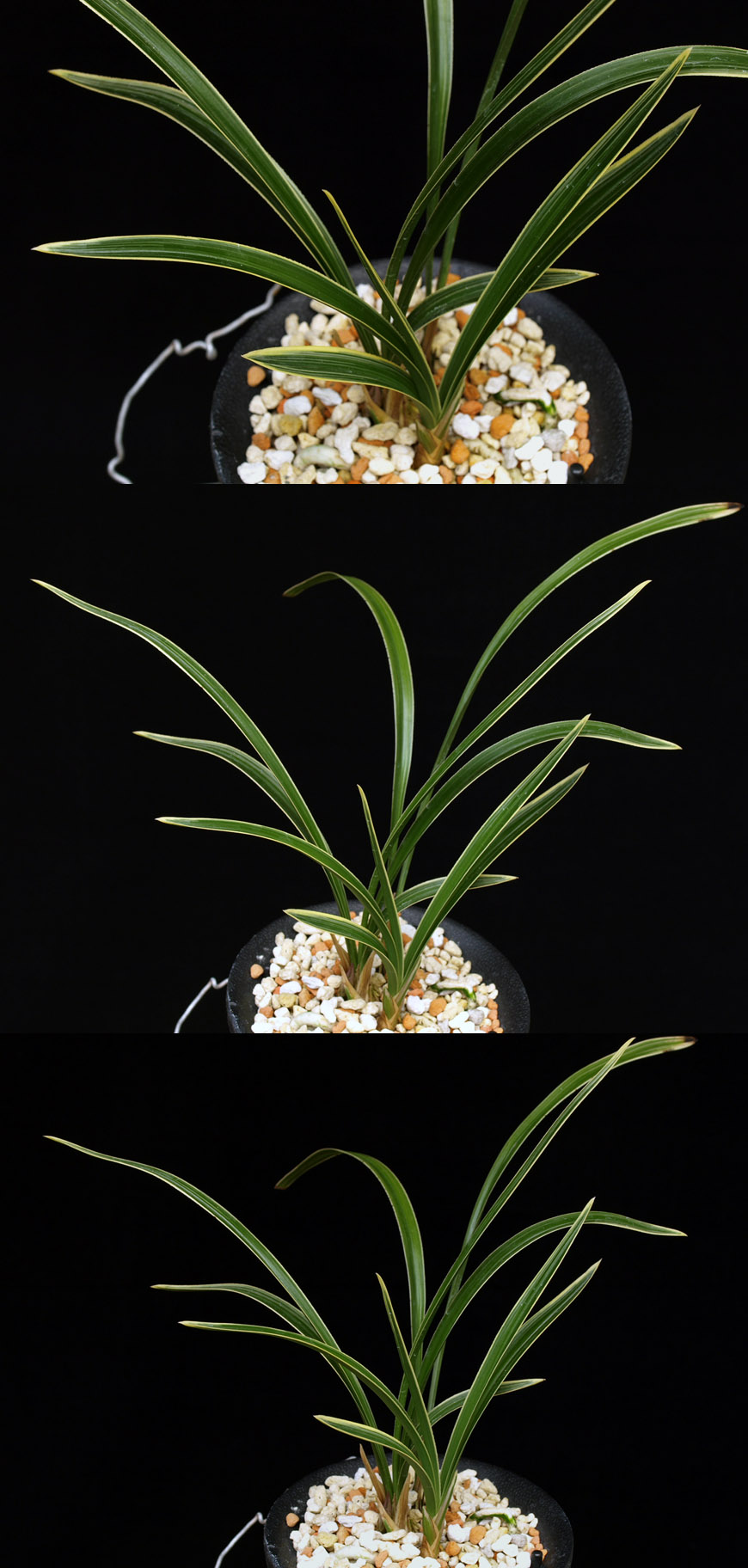 ������ ū������ �� �� �ֽ��ϴ�.