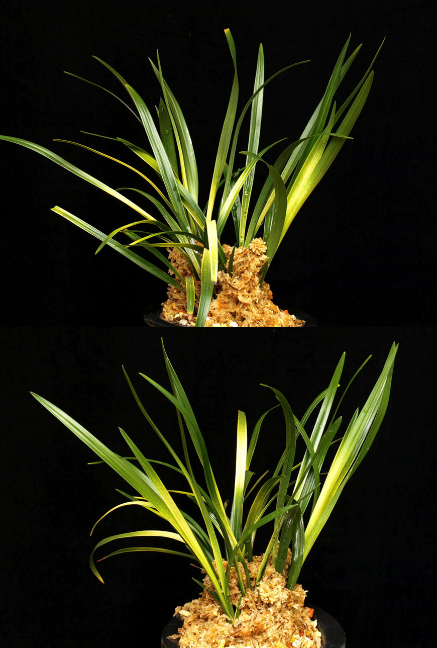 ������ ū������ �� �� �ֽ��ϴ�.