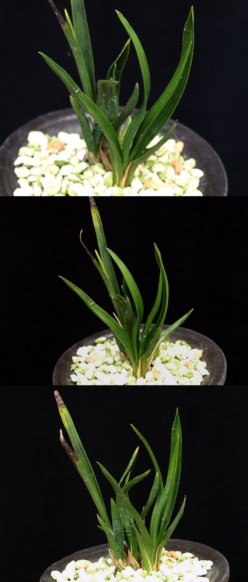 ������ ū������ �� �� �ֽ��ϴ�.