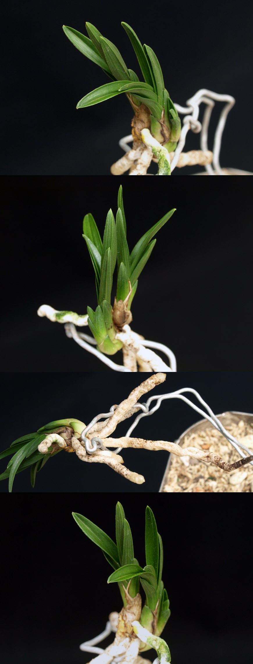 ������ ū������ �� �� �ֽ��ϴ�.