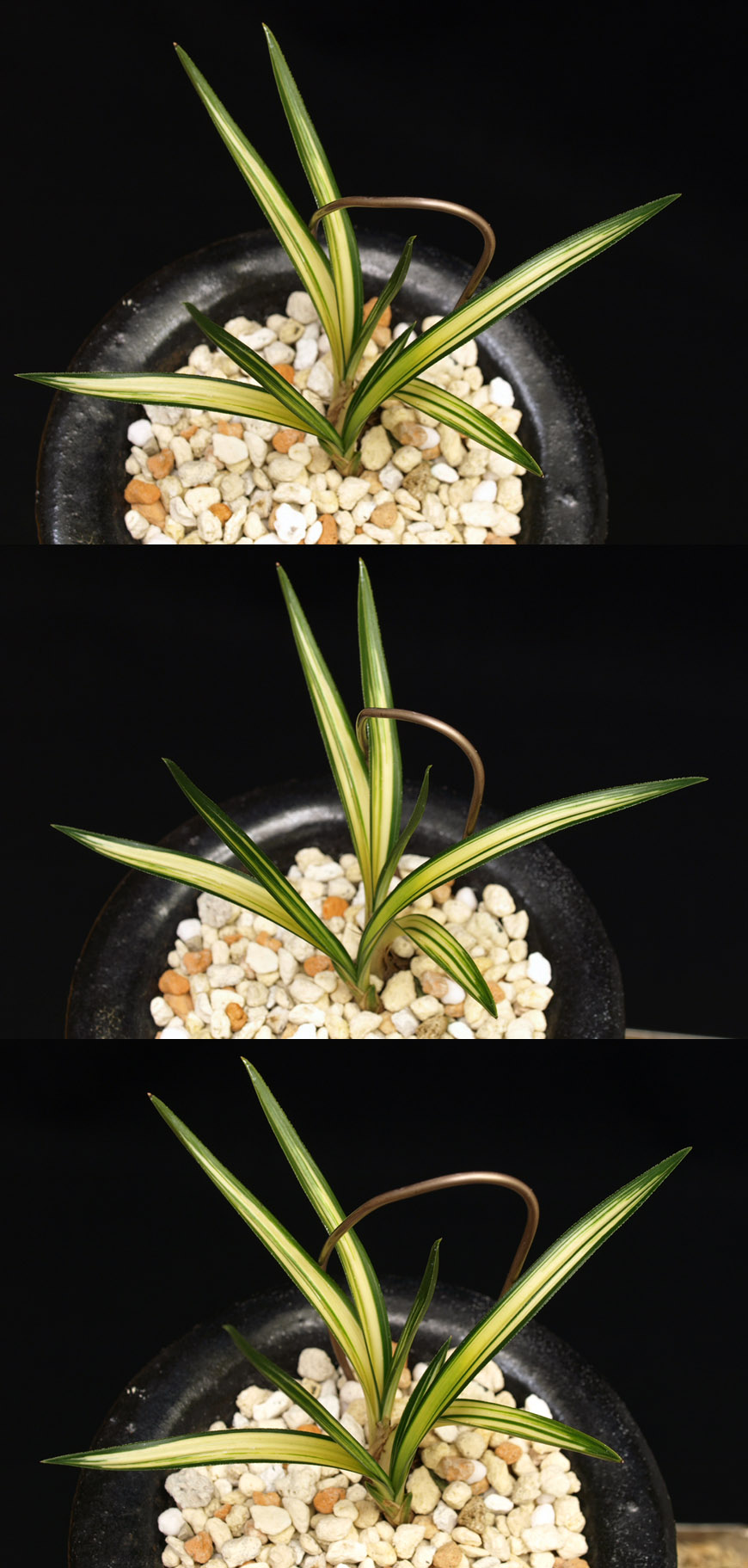 ������ ū������ �� �� �ֽ��ϴ�.