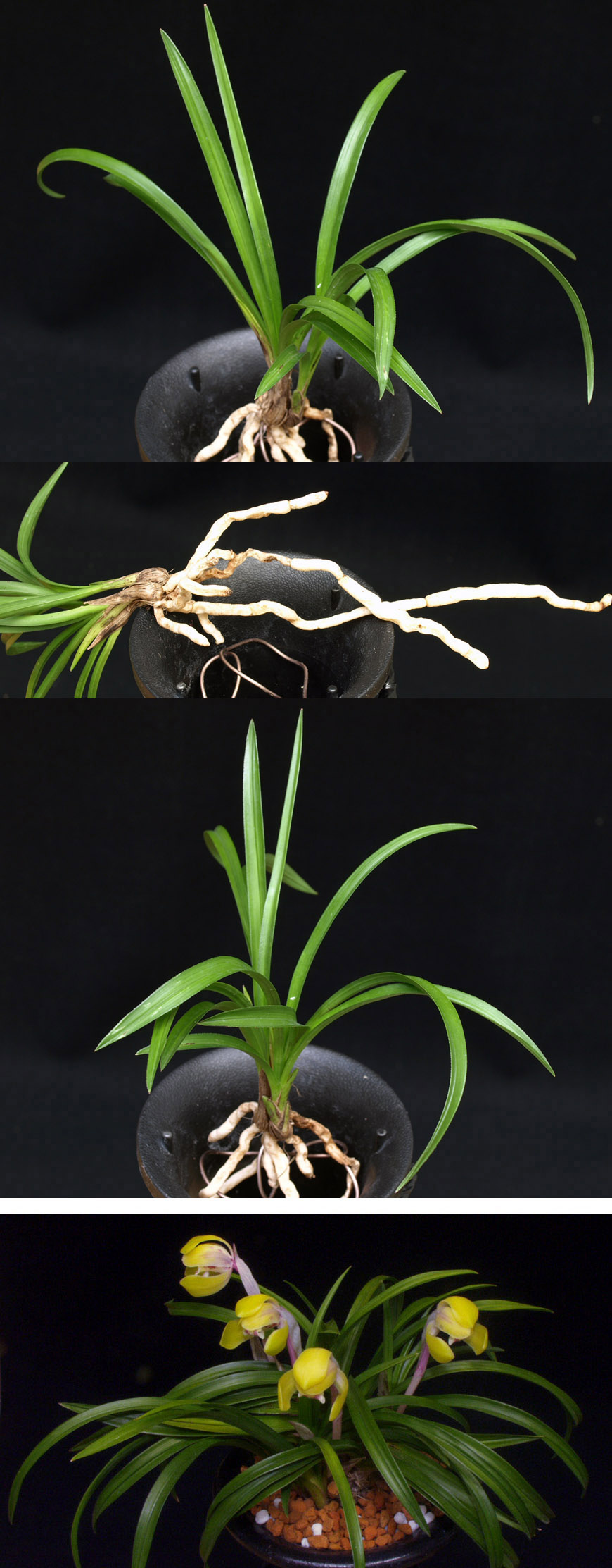 ������ ū������ �� �� �ֽ��ϴ�.