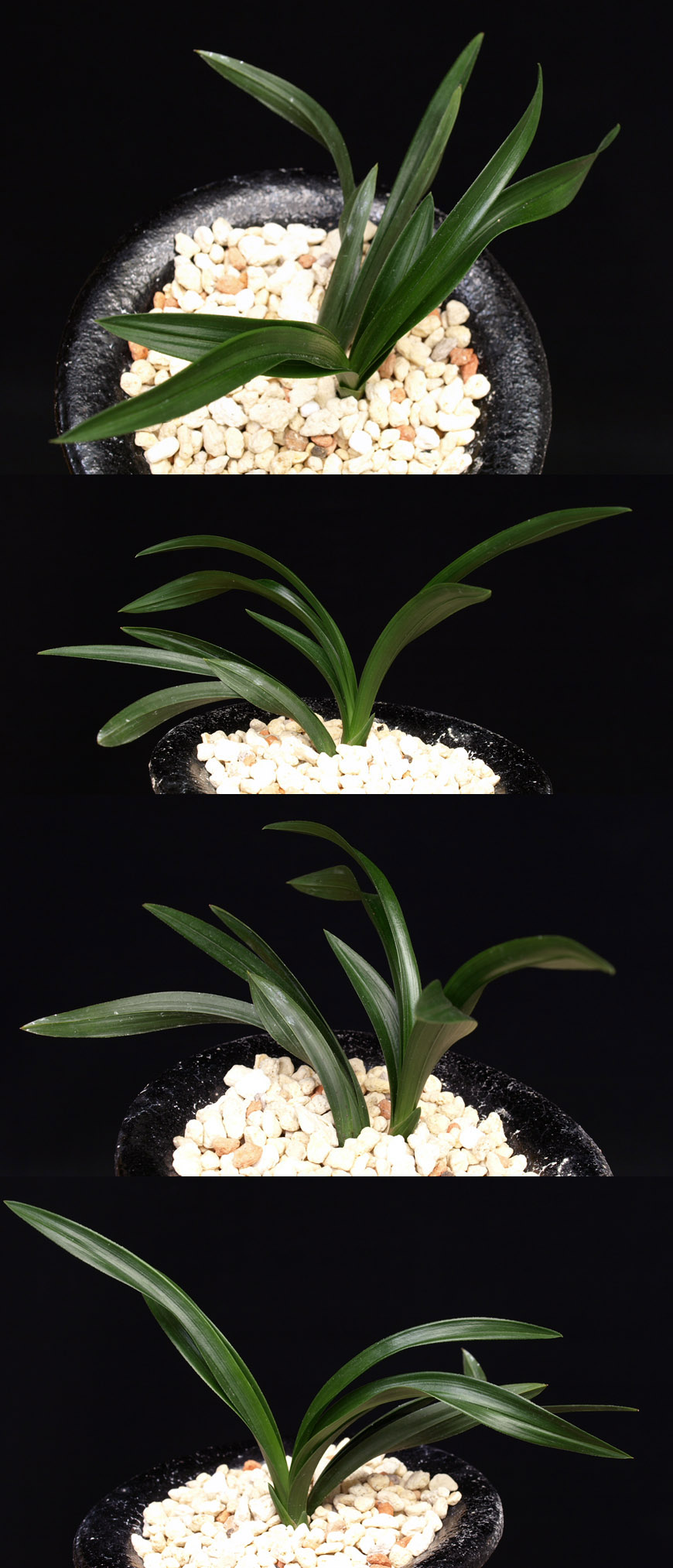 ������ ū������ �� �� �ֽ��ϴ�.