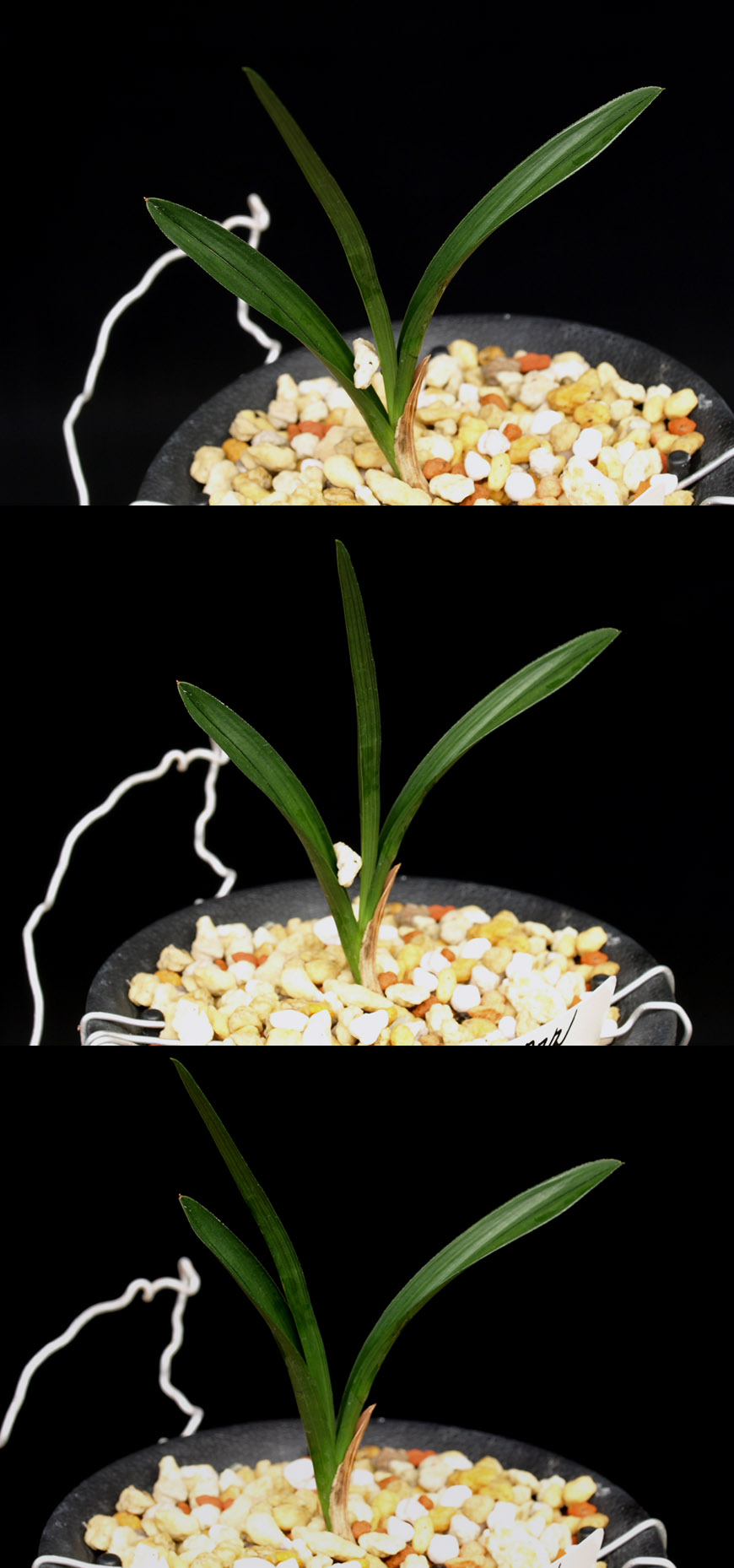 ������ ū������ �� �� �ֽ��ϴ�.