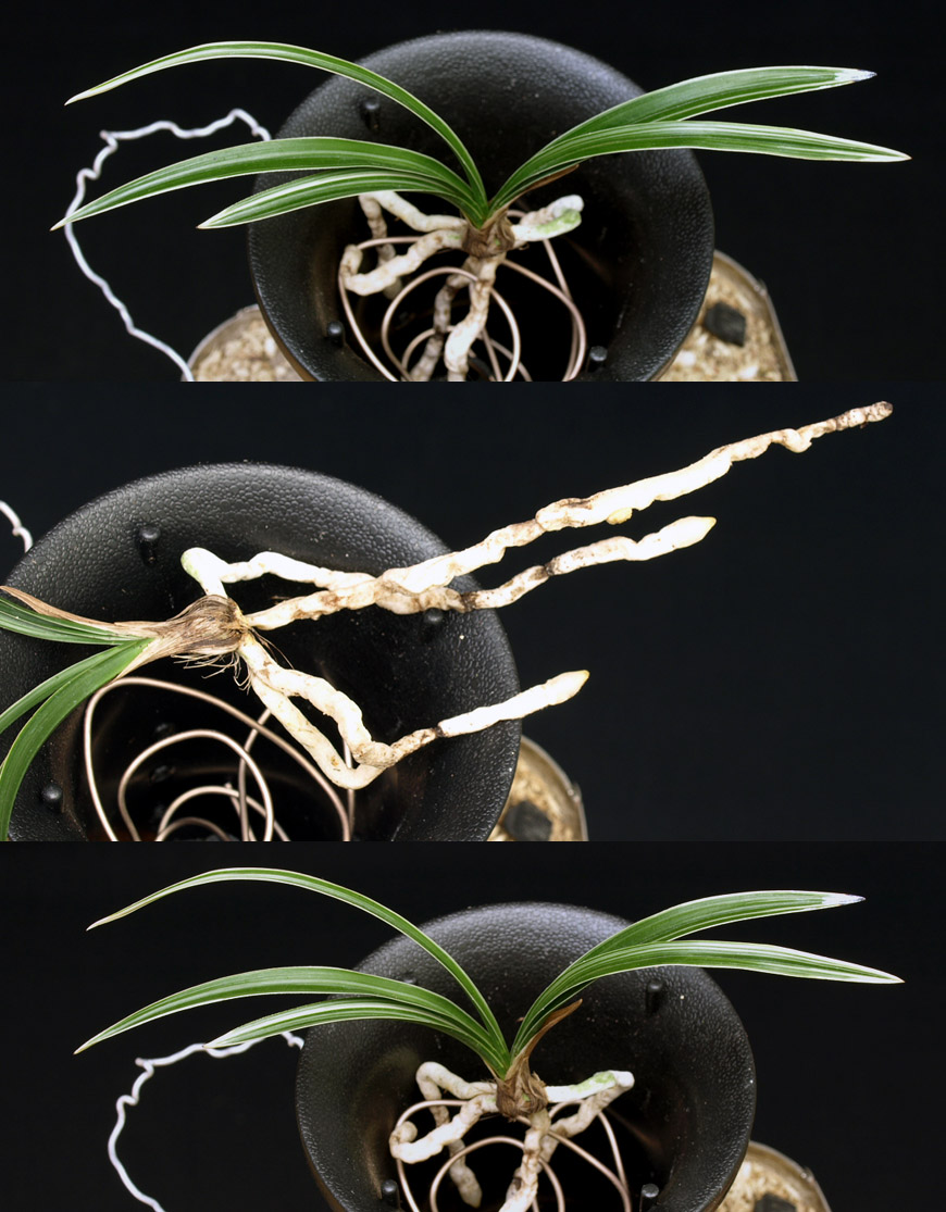 ������ ū������ �� �� �ֽ��ϴ�.