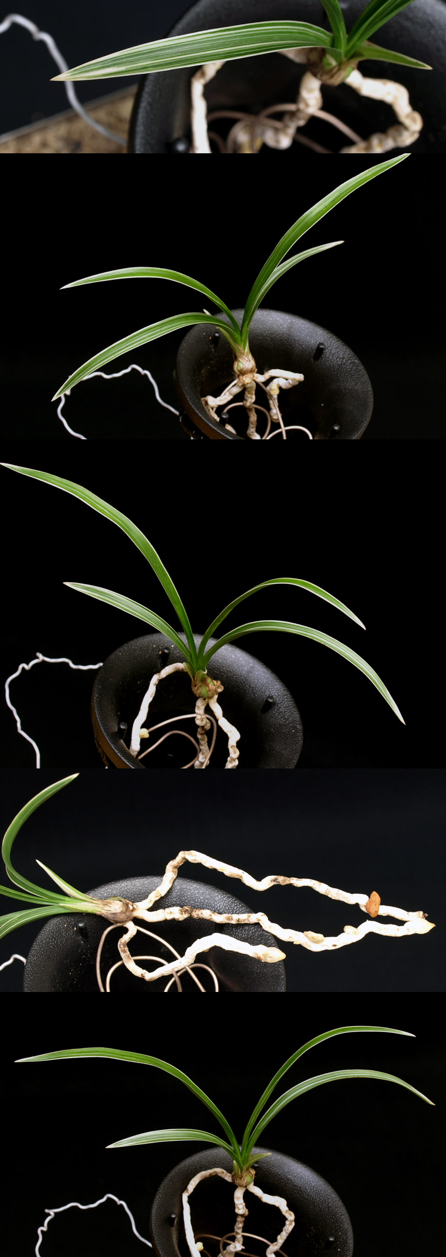 ������ ū������ �� �� �ֽ��ϴ�.