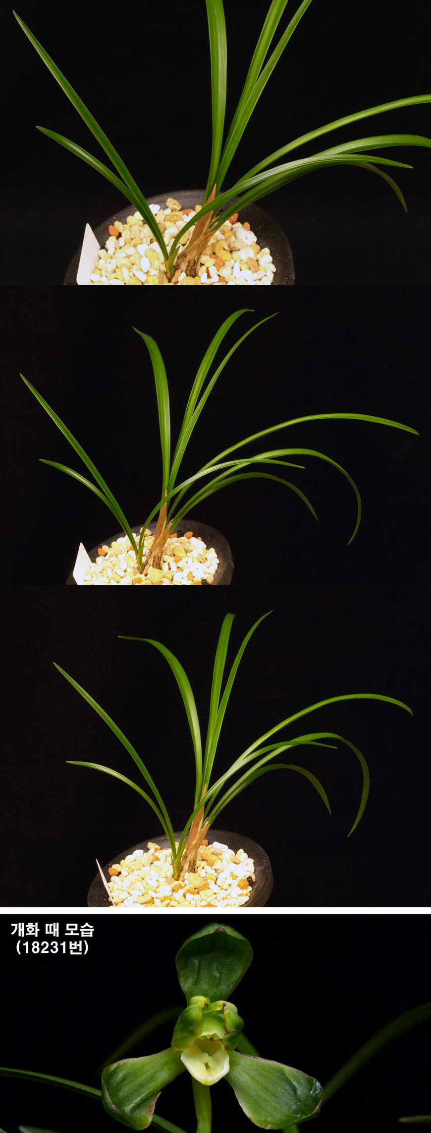 ������ ū������ �� �� �ֽ��ϴ�.