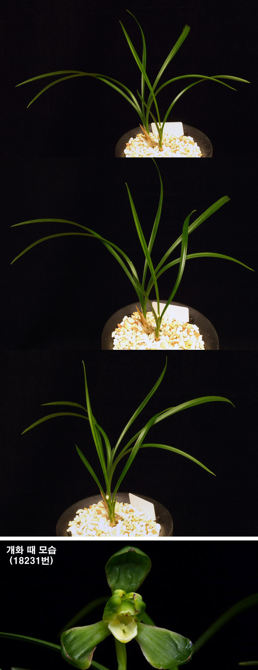 ������ ū������ �� �� �ֽ��ϴ�.