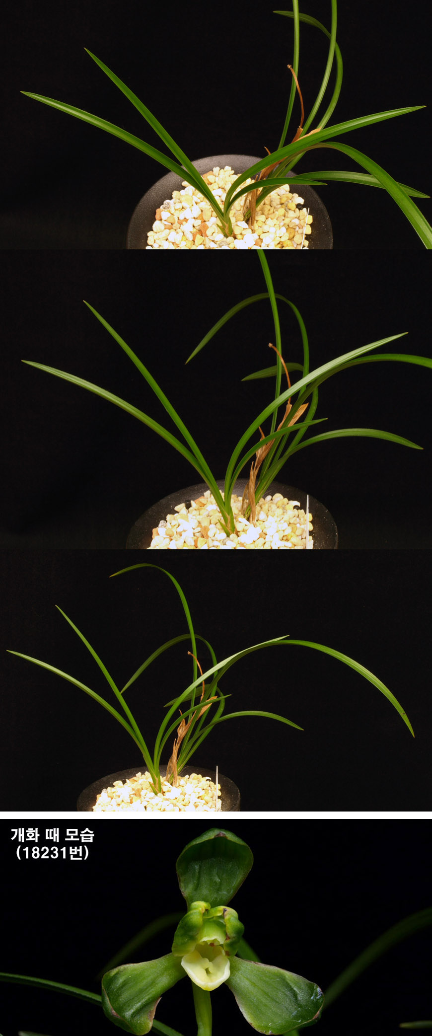 ������ ū������ �� �� �ֽ��ϴ�.