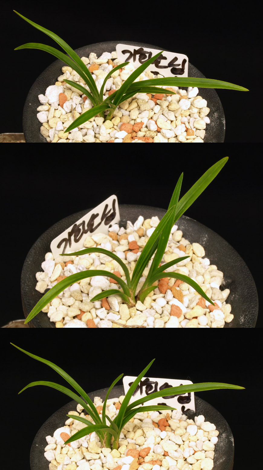 ������ ū������ �� �� �ֽ��ϴ�.