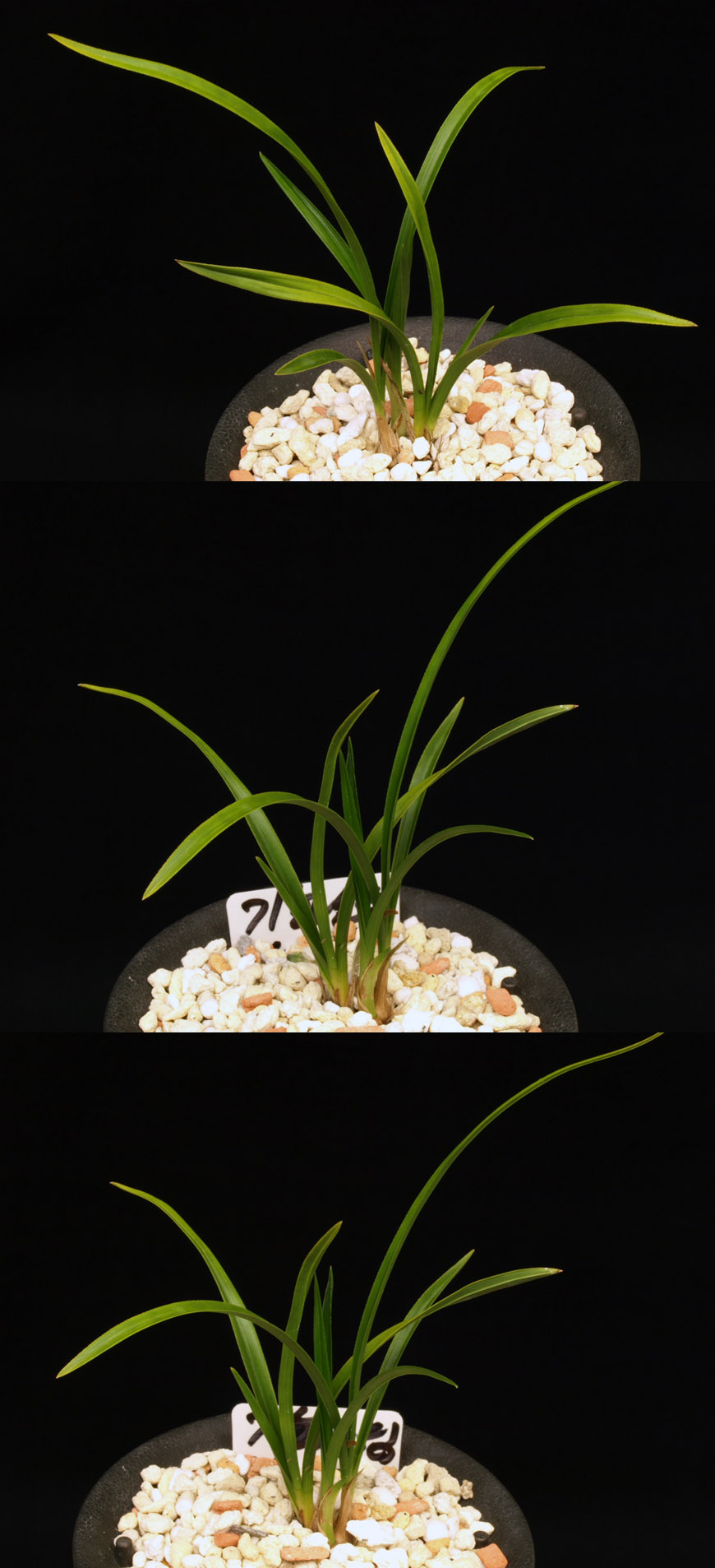 ������ ū������ �� �� �ֽ��ϴ�.