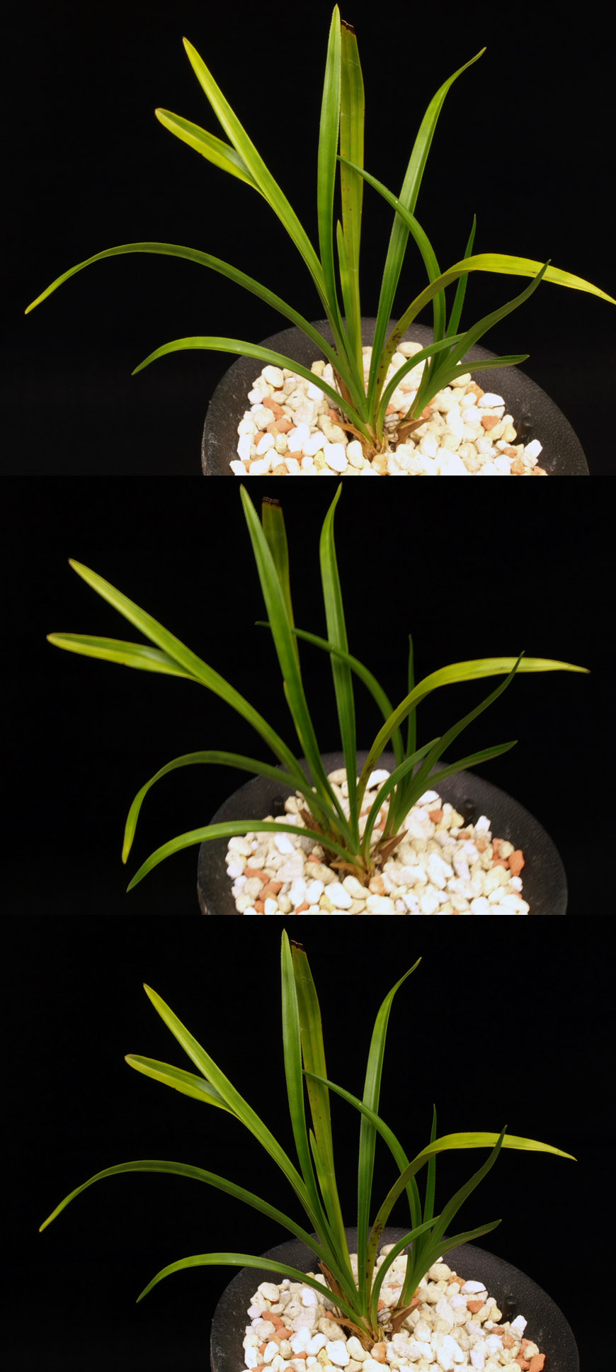 ������ ū������ �� �� �ֽ��ϴ�.