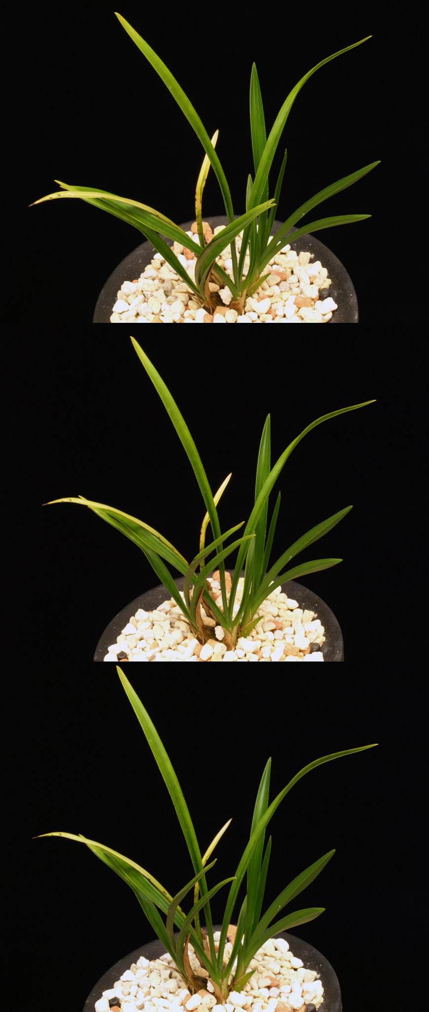 ������ ū������ �� �� �ֽ��ϴ�.