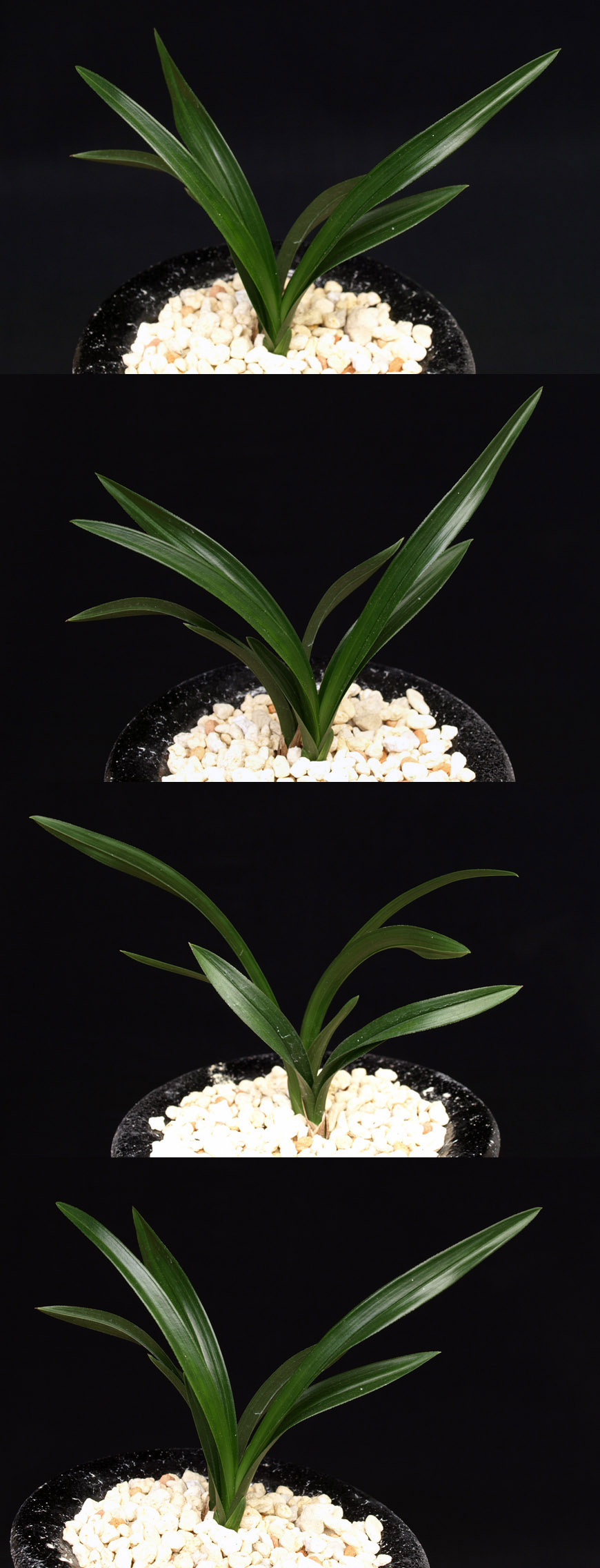 ������ ū������ �� �� �ֽ��ϴ�.