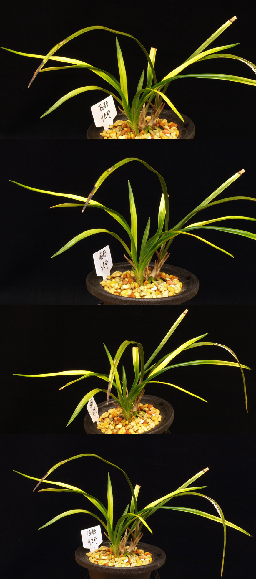 ������ ū������ �� �� �ֽ��ϴ�.