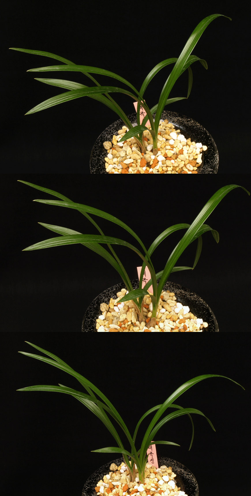 ������ ū������ �� �� �ֽ��ϴ�.