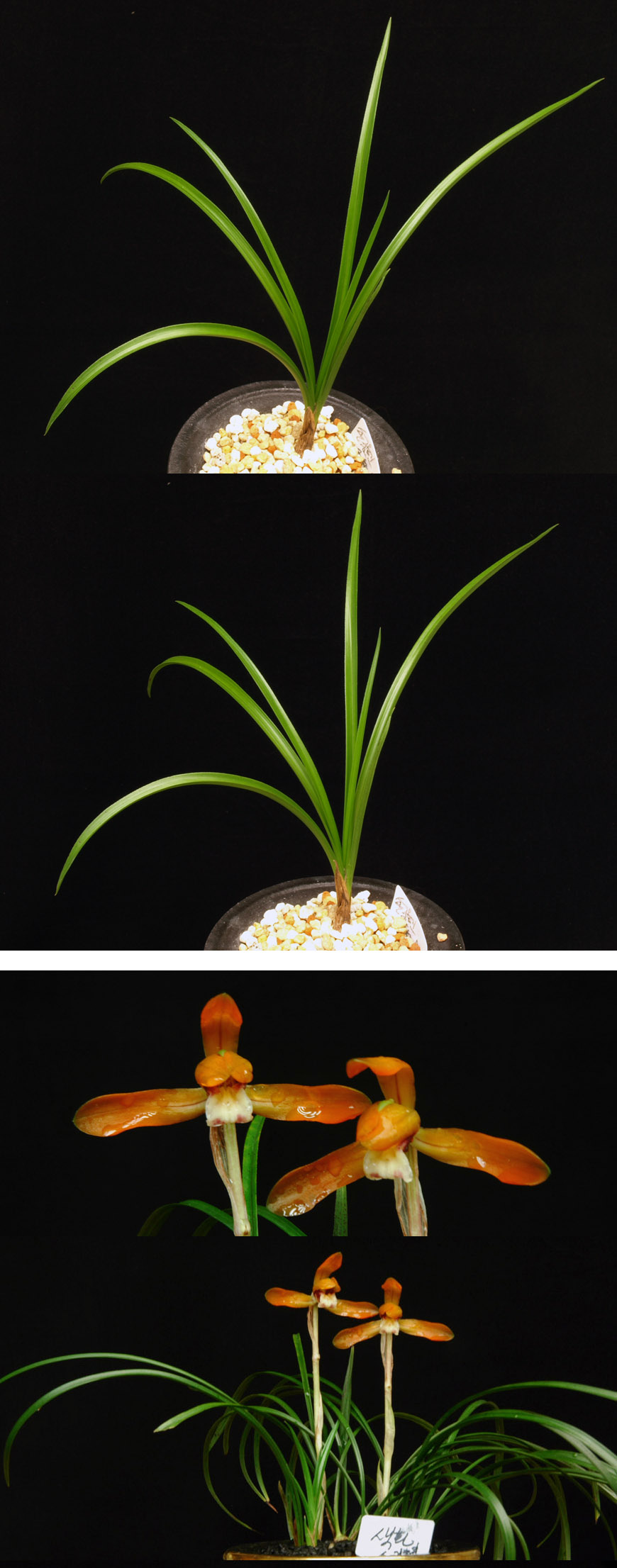 ������ ū������ �� �� �ֽ��ϴ�.