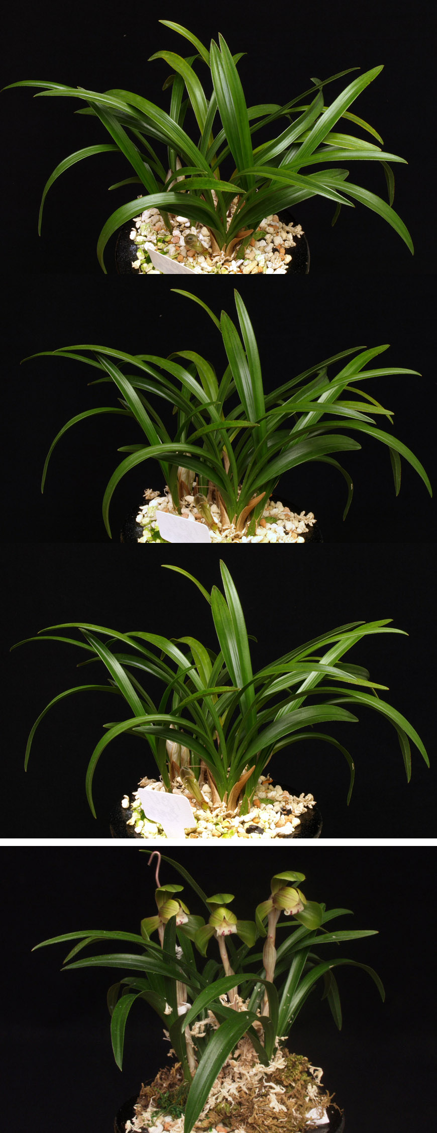 ������ ū������ �� �� �ֽ��ϴ�.