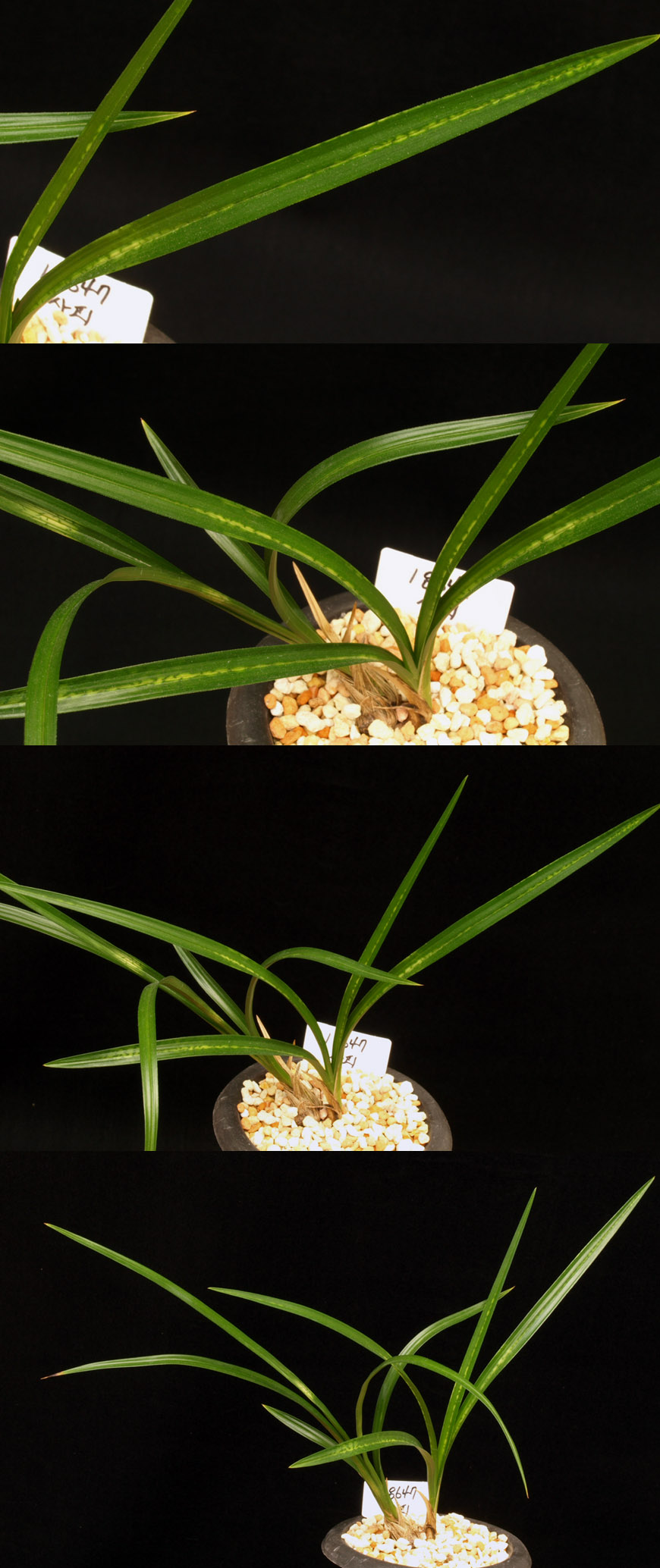 ������ ū������ �� �� �ֽ��ϴ�.