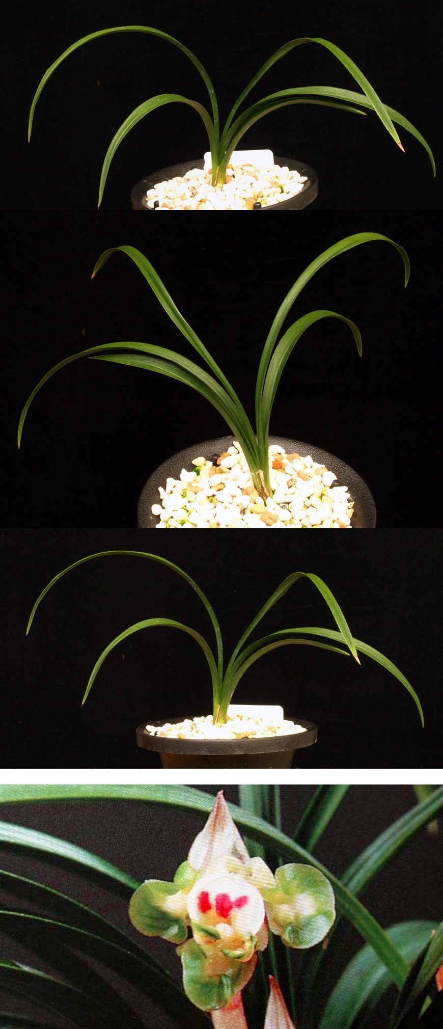 ������ ū������ �� �� �ֽ��ϴ�.