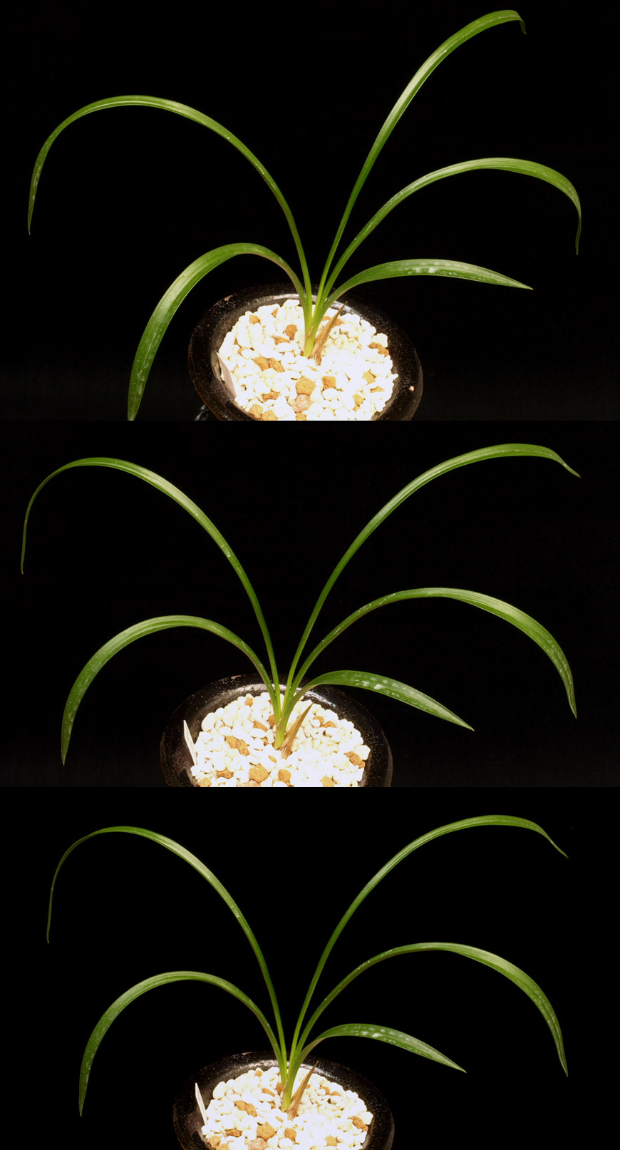 ������ ū������ �� �� �ֽ��ϴ�.