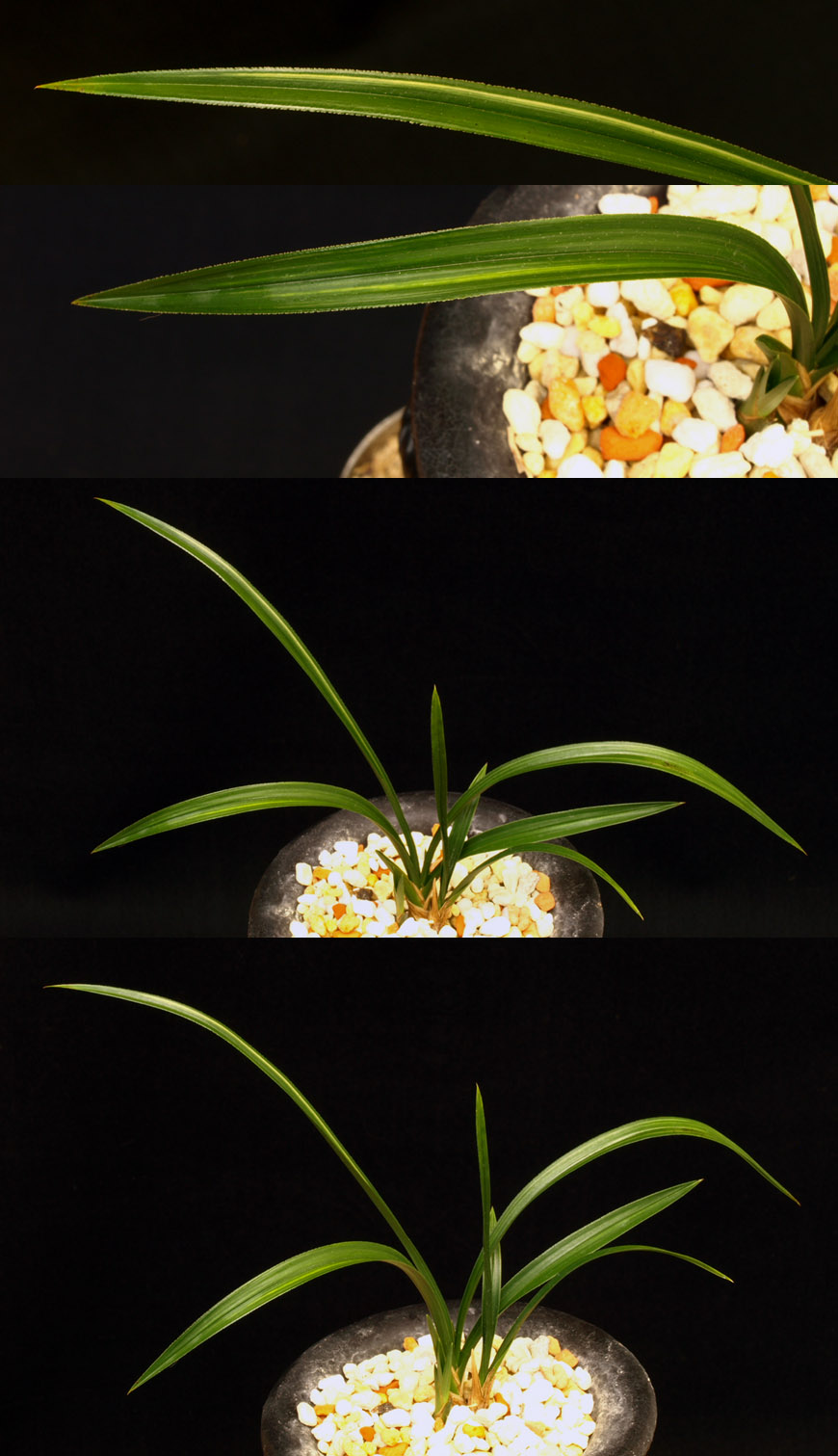 ������ ū������ �� �� �ֽ��ϴ�.