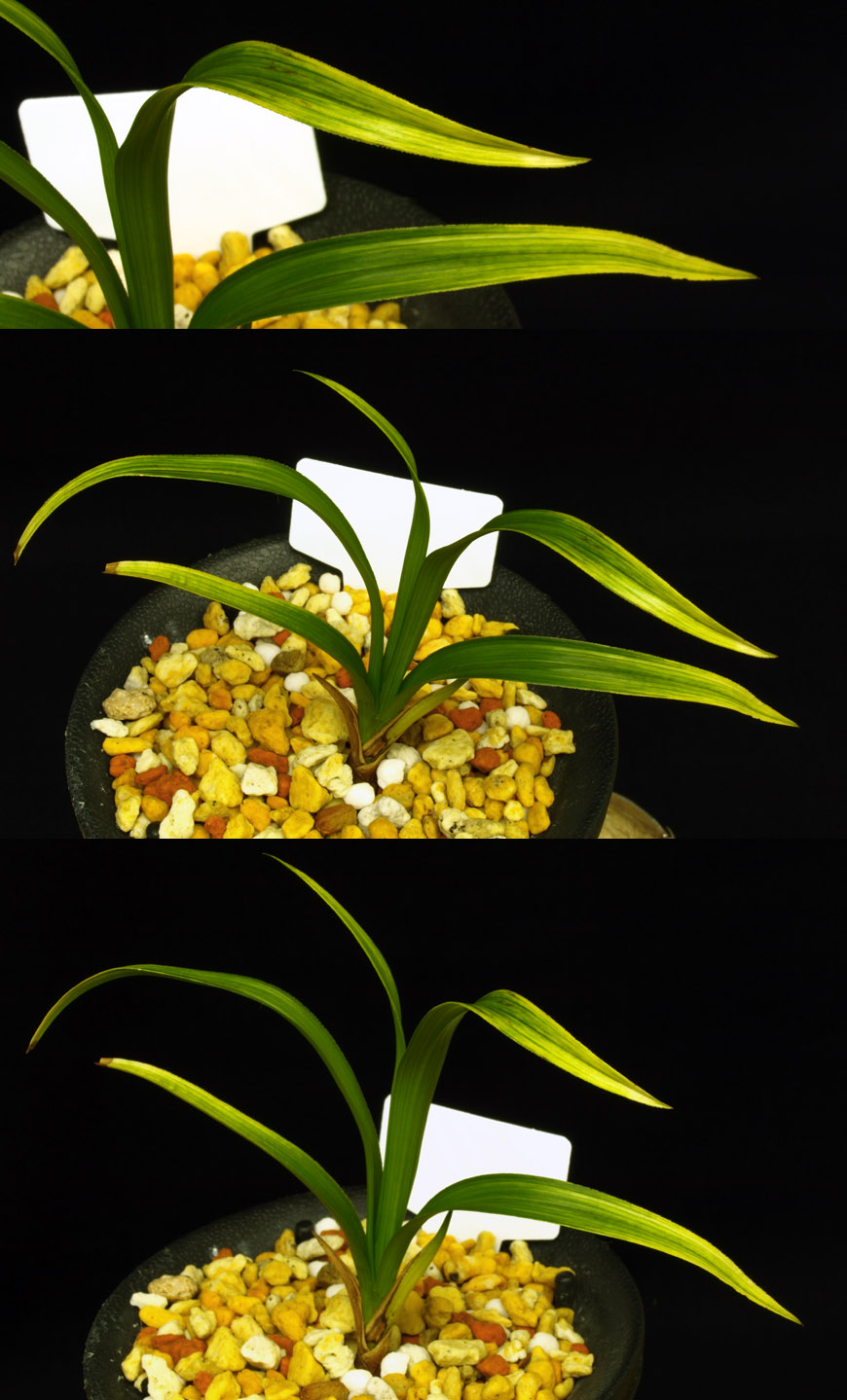 ������ ū������ �� �� �ֽ��ϴ�.