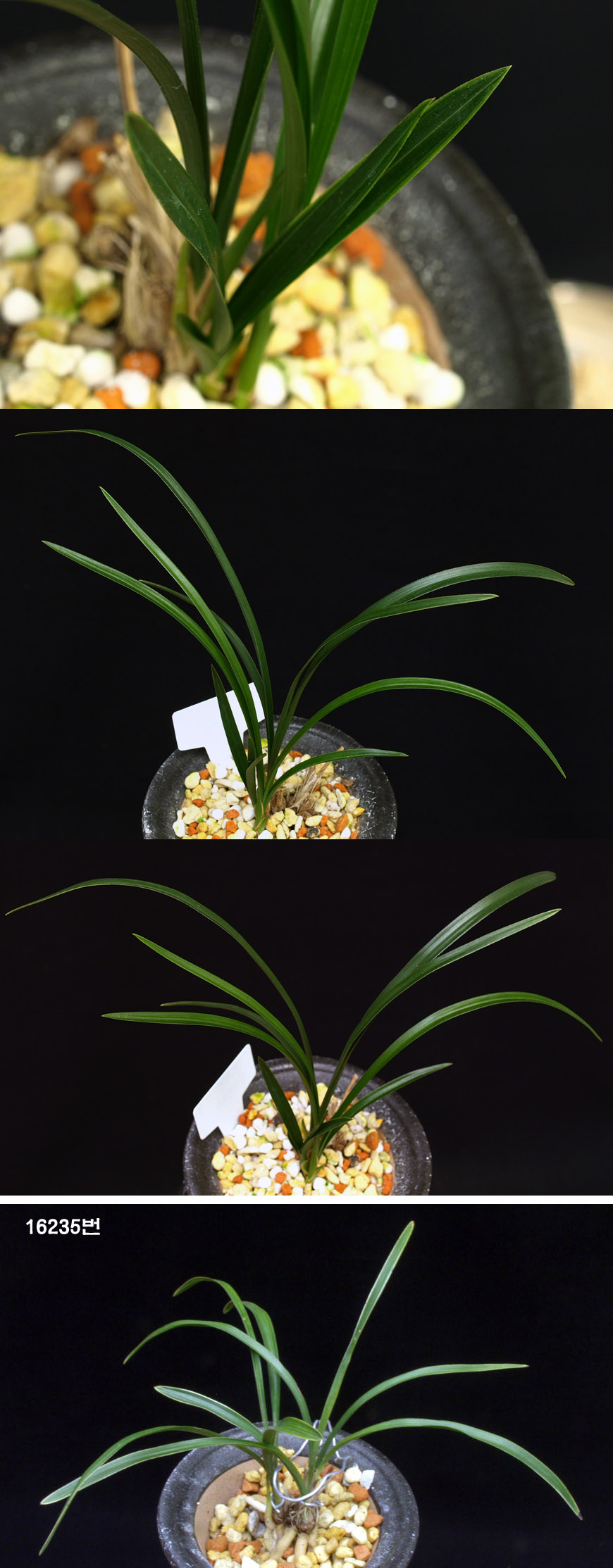 ������ ū������ �� �� �ֽ��ϴ�.