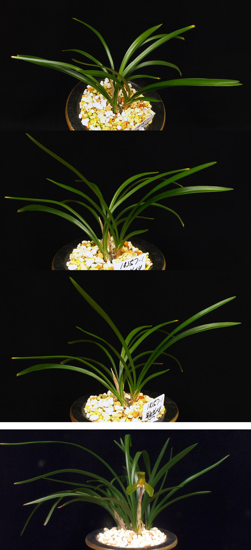 ������ ū������ �� �� �ֽ��ϴ�.