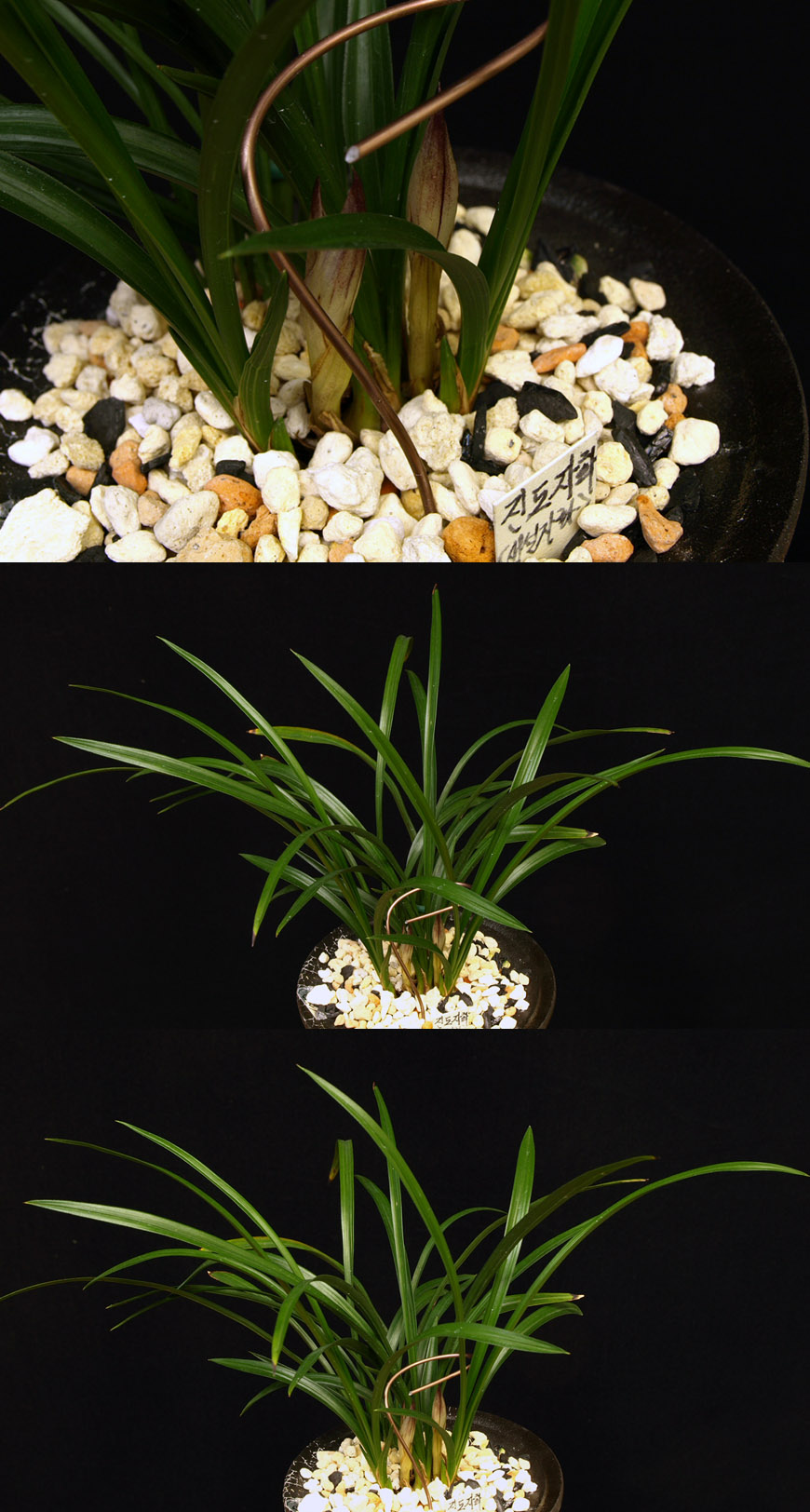 ������ ū������ �� �� �ֽ��ϴ�.