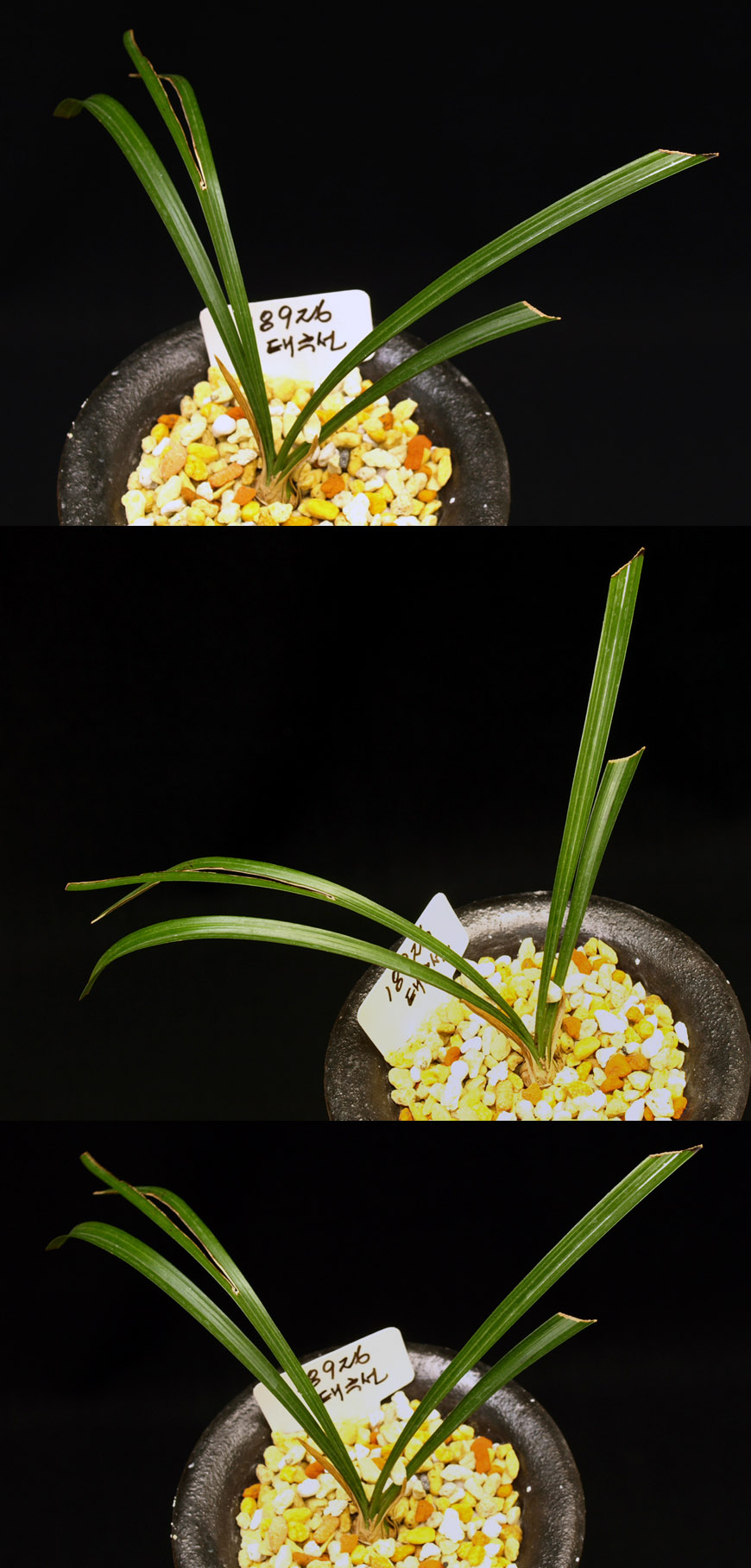 ������ ū������ �� �� �ֽ��ϴ�.