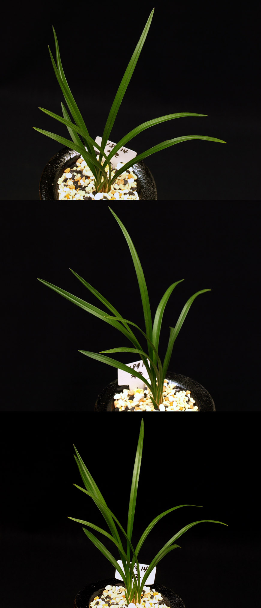 ������ ū������ �� �� �ֽ��ϴ�.