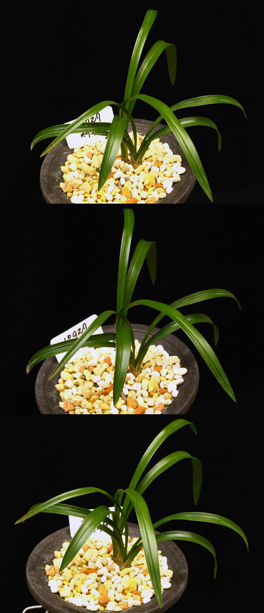 ������ ū������ �� �� �ֽ��ϴ�.