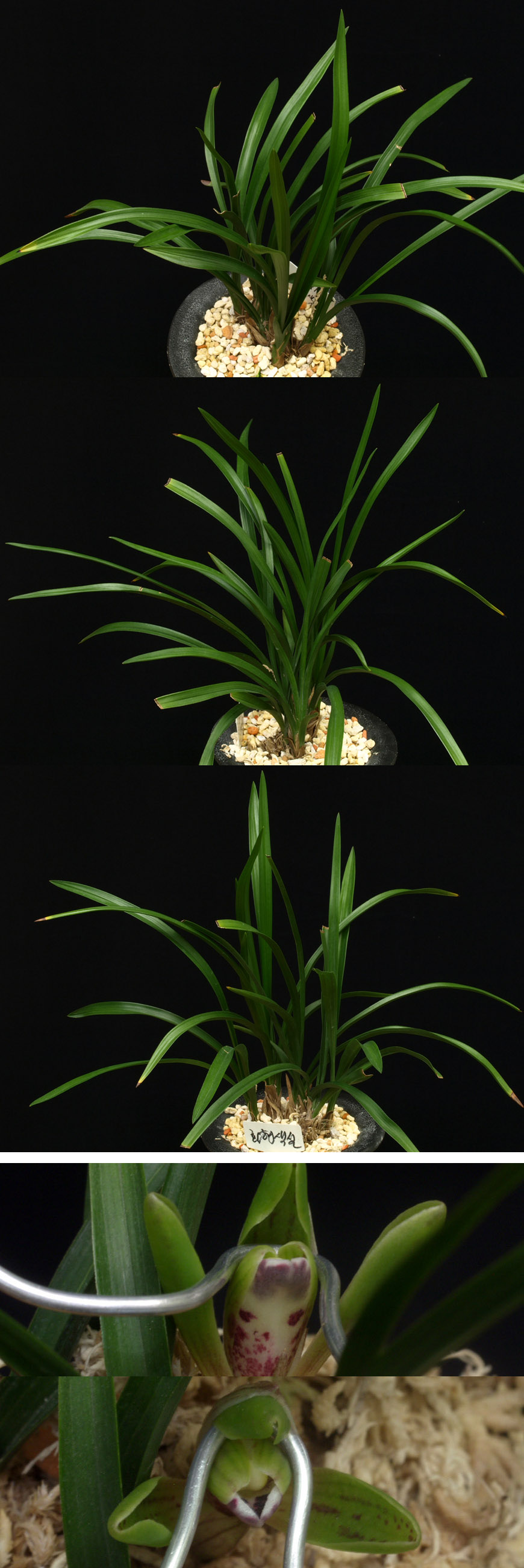 ������ ū������ �� �� �ֽ��ϴ�.