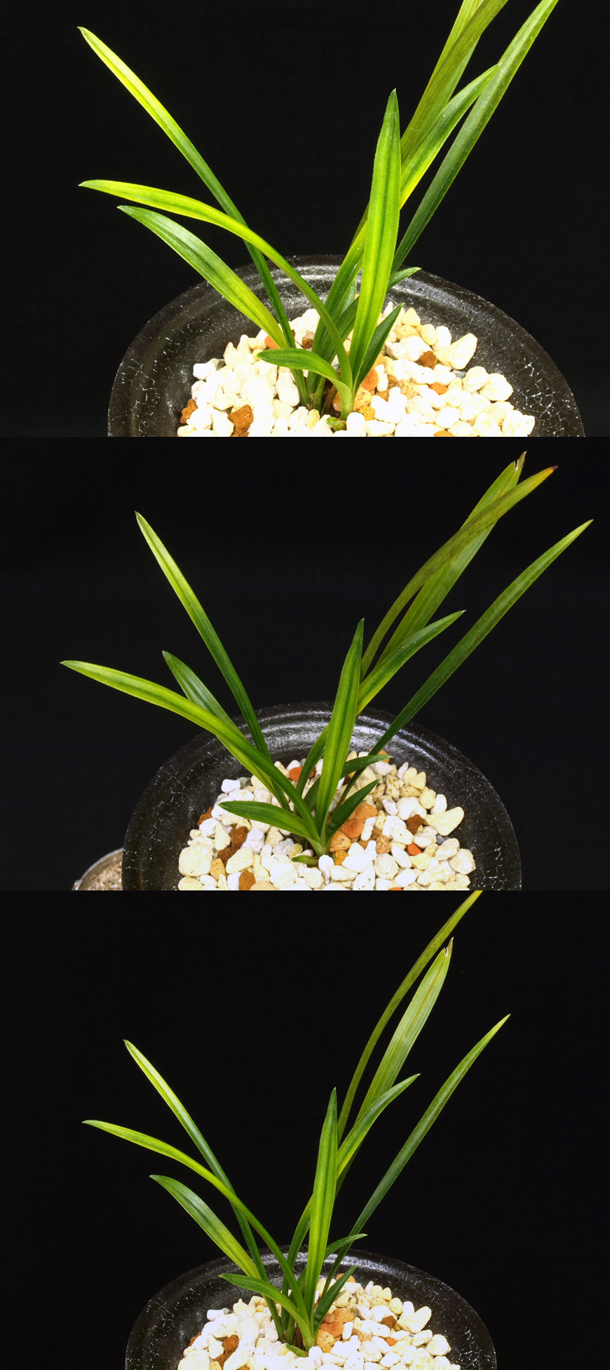 ������ ū������ �� �� �ֽ��ϴ�.