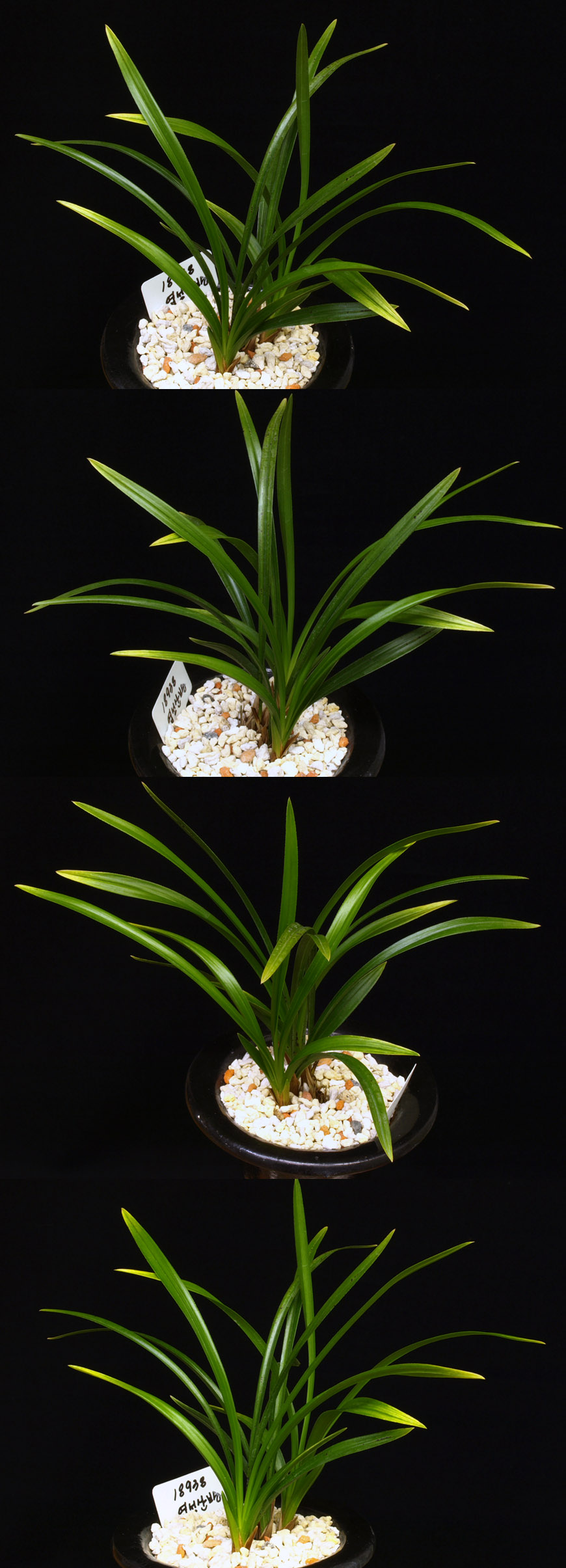 ������ ū������ �� �� �ֽ��ϴ�.