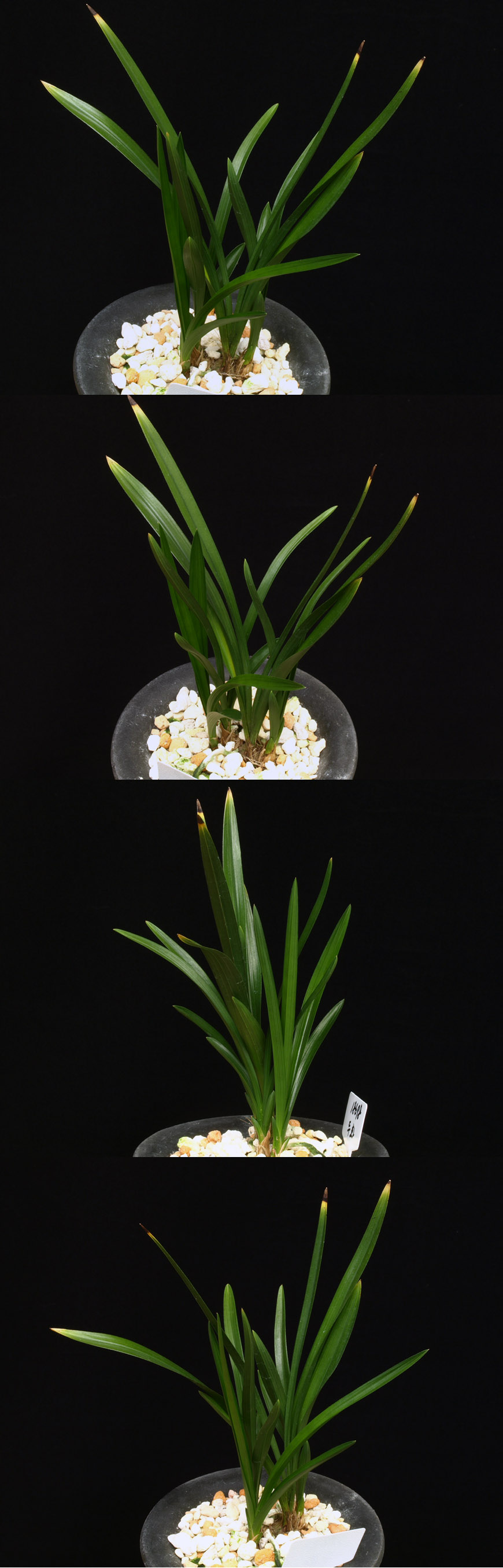 ������ ū������ �� �� �ֽ��ϴ�.