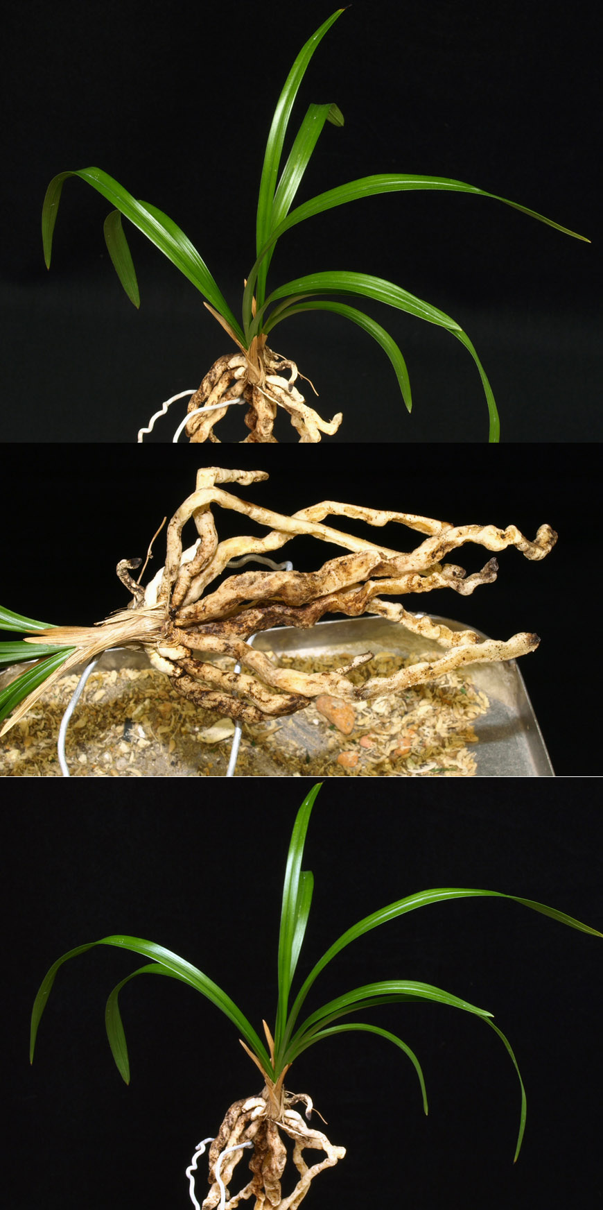 ������ ū������ �� �� �ֽ��ϴ�.