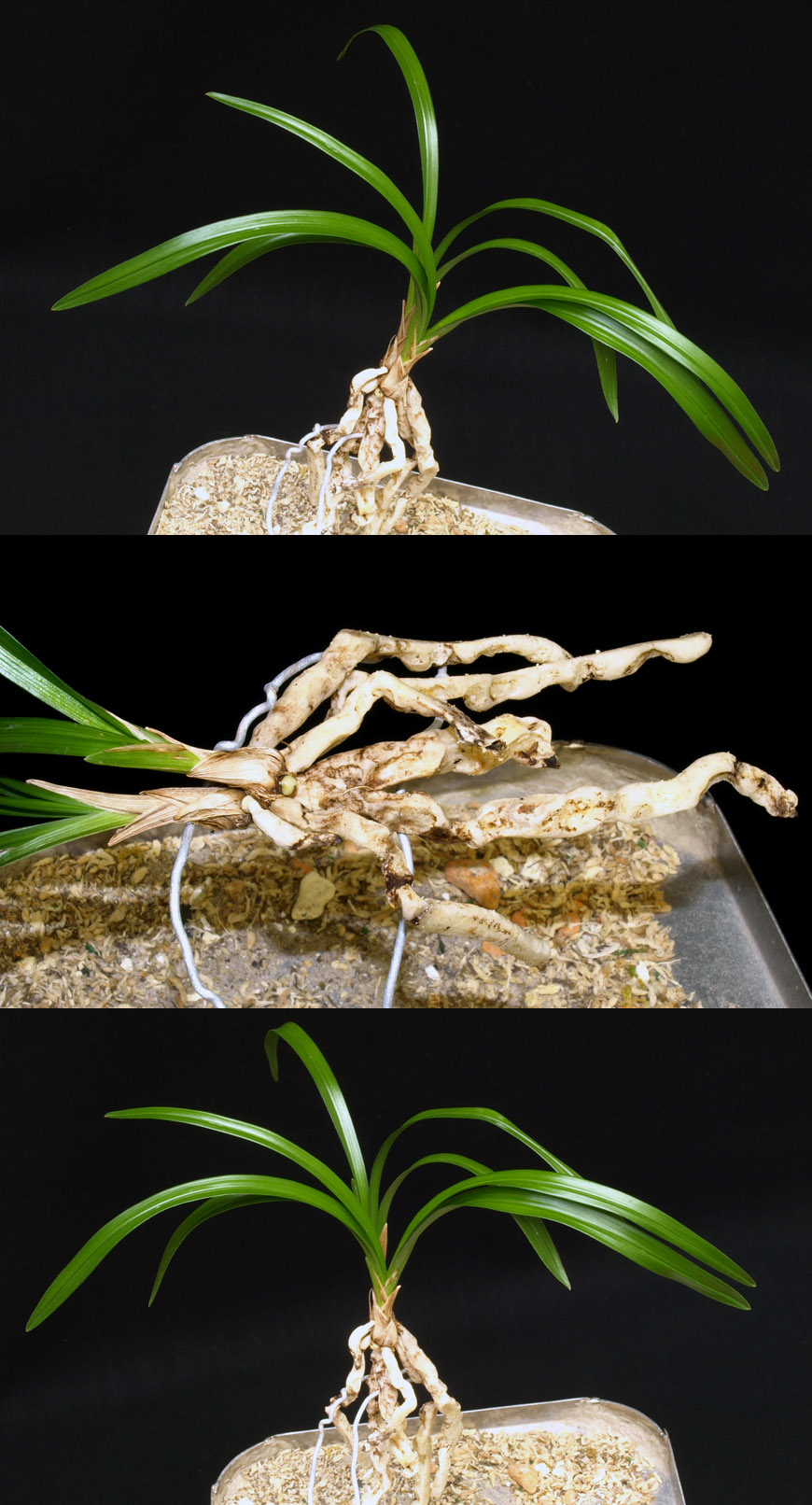 ������ ū������ �� �� �ֽ��ϴ�.