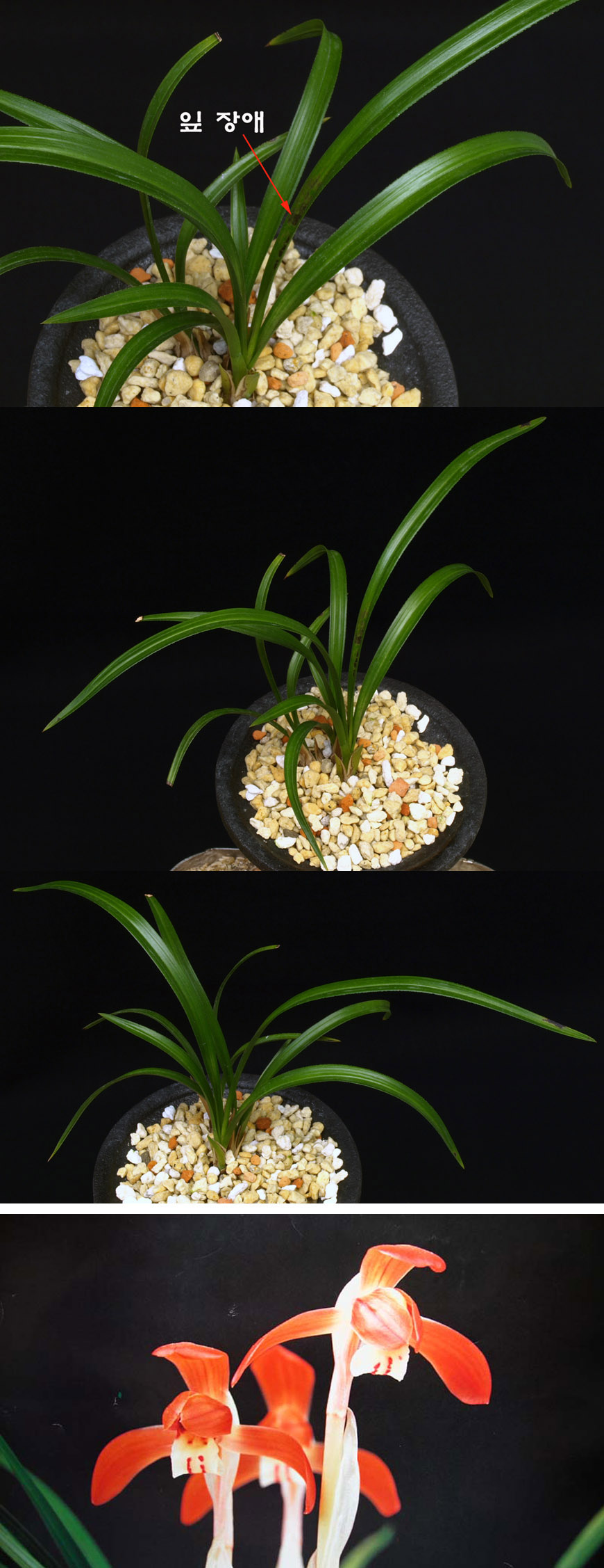 ������ ū������ �� �� �ֽ��ϴ�.